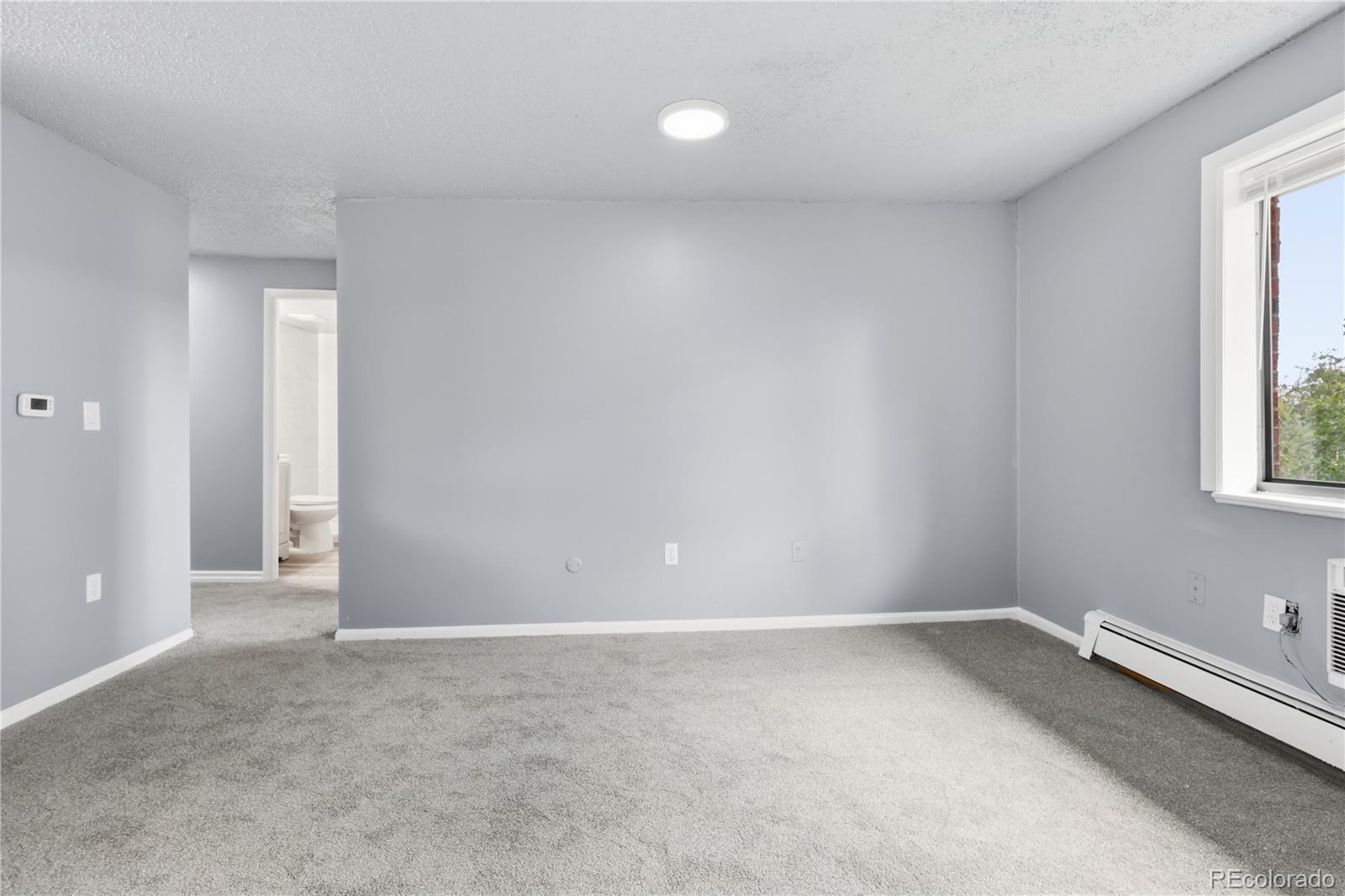 MLS Image #17 for 1008 n corona street 501,denver, Colorado