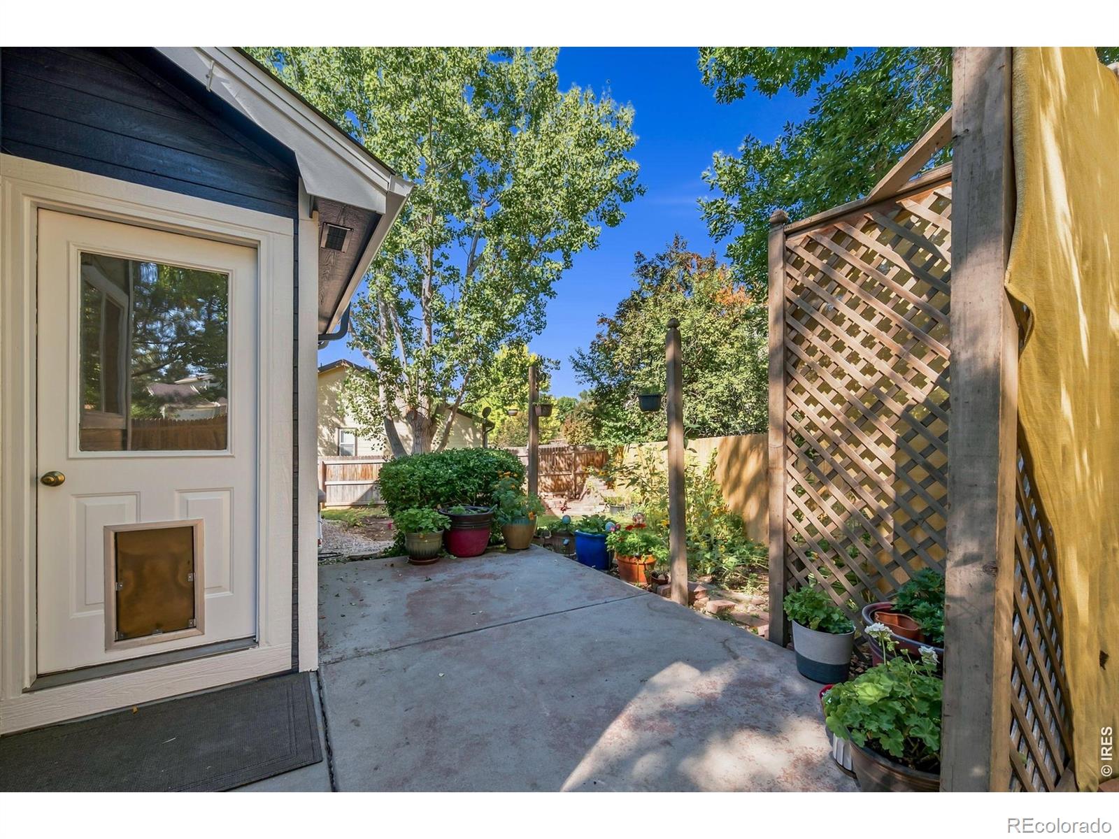 MLS Image #18 for 430  derry drive,fort collins, Colorado