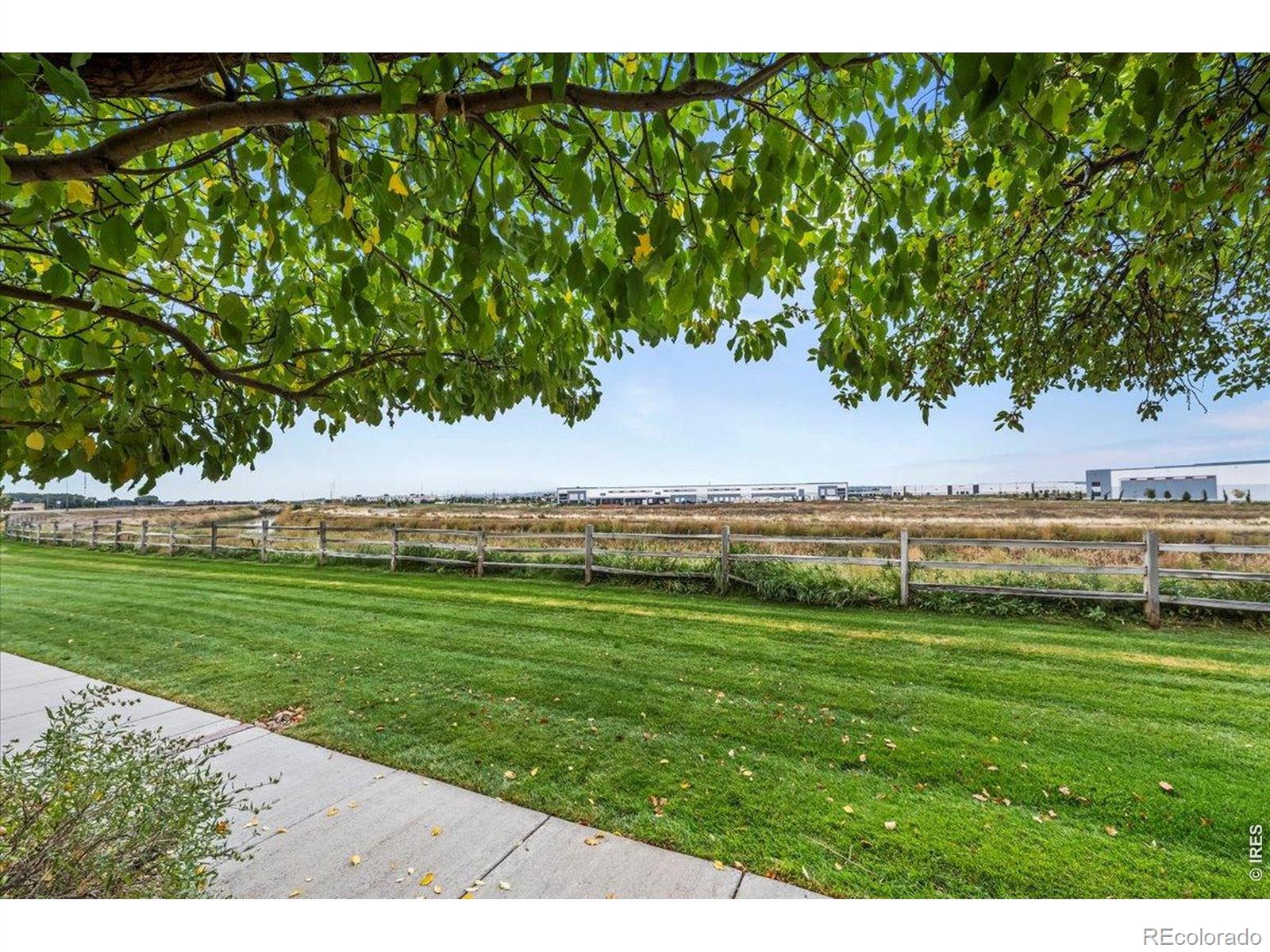 MLS Image #4 for 10449  paris street,commerce city, Colorado