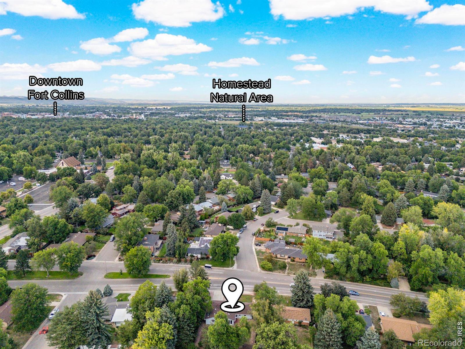 MLS Image #45 for 809 e pitkin street,fort collins, Colorado