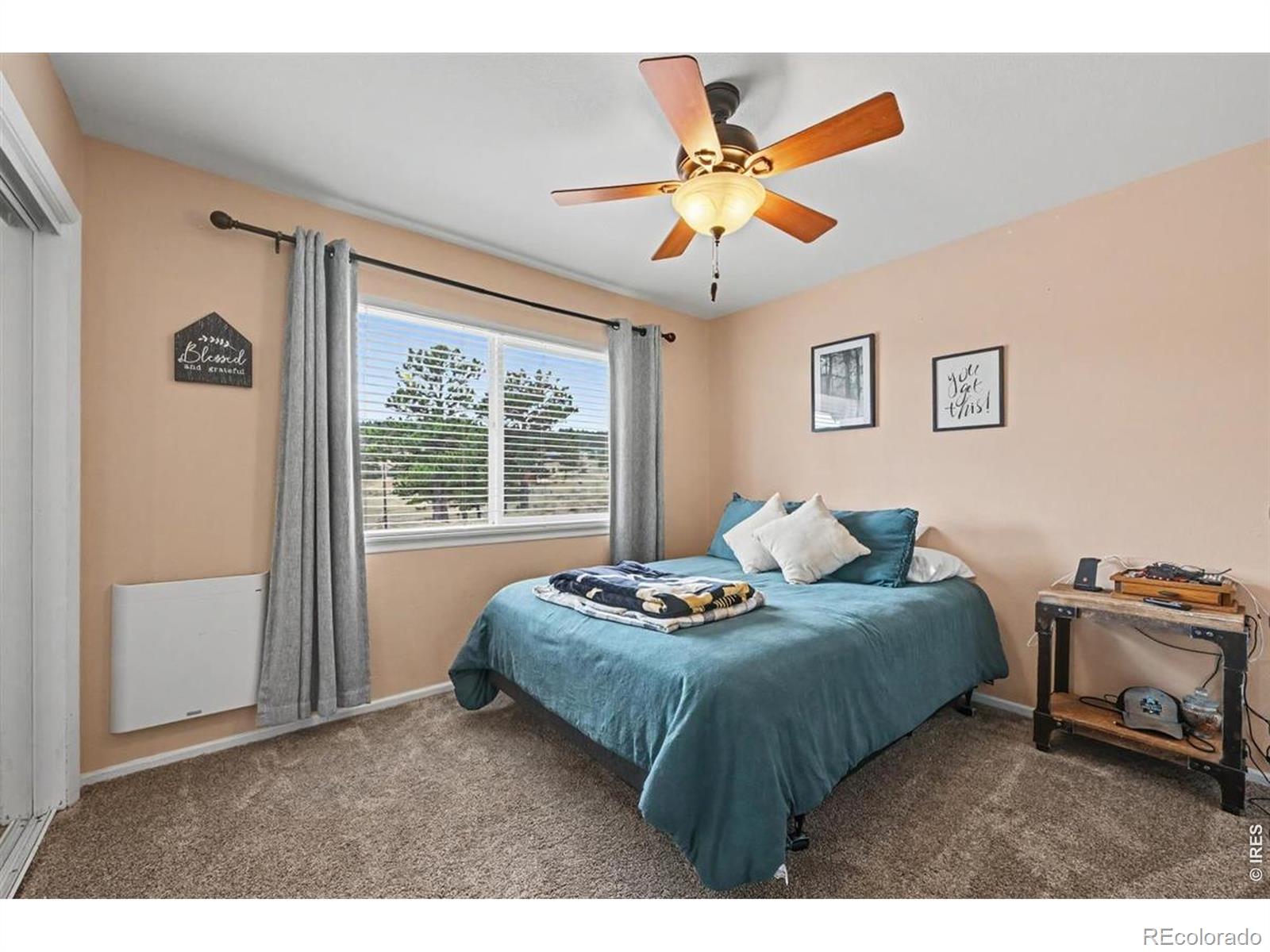 MLS Image #22 for 144  torreys court,livermore, Colorado