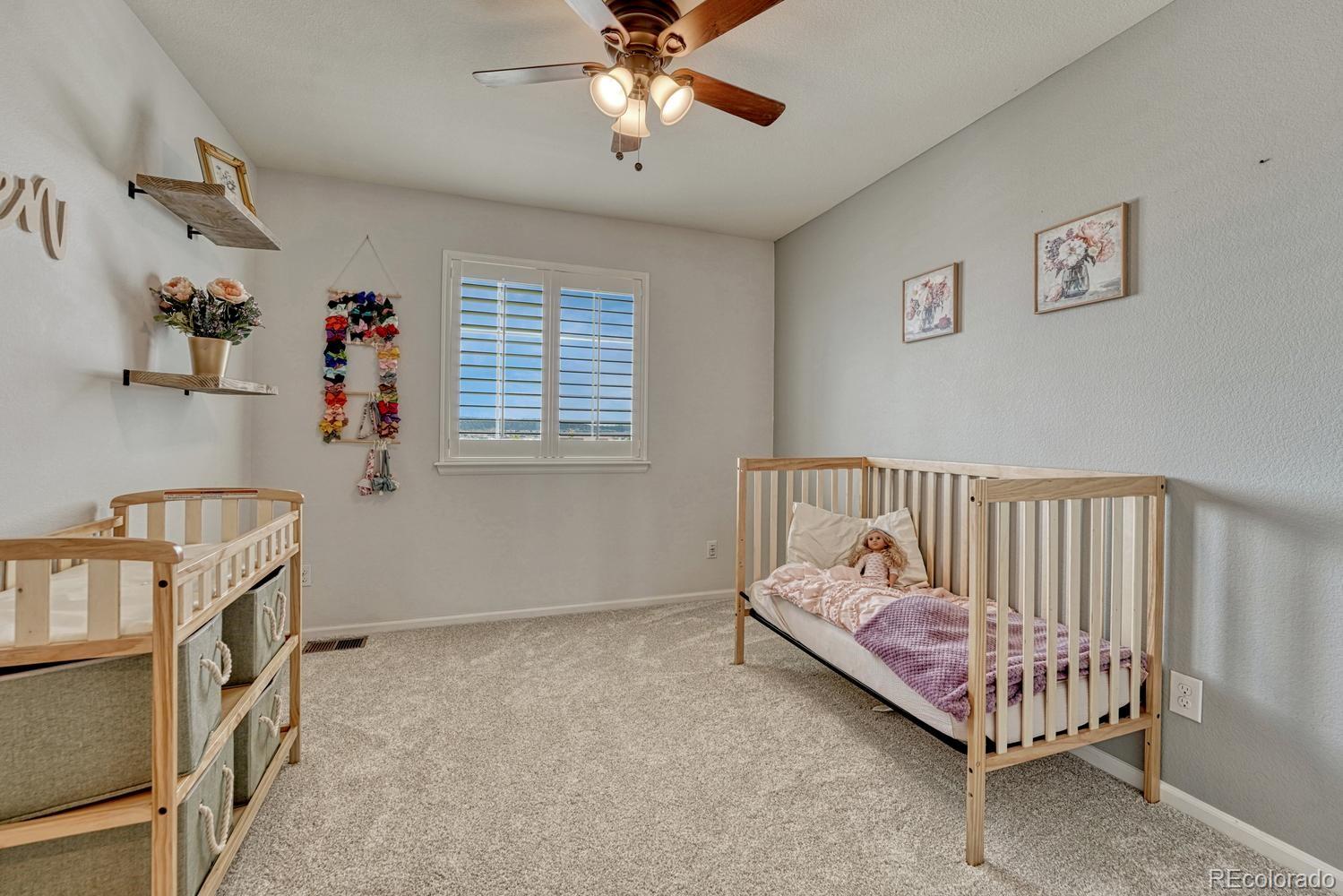 MLS Image #28 for 3130  open sky way,castle rock, Colorado