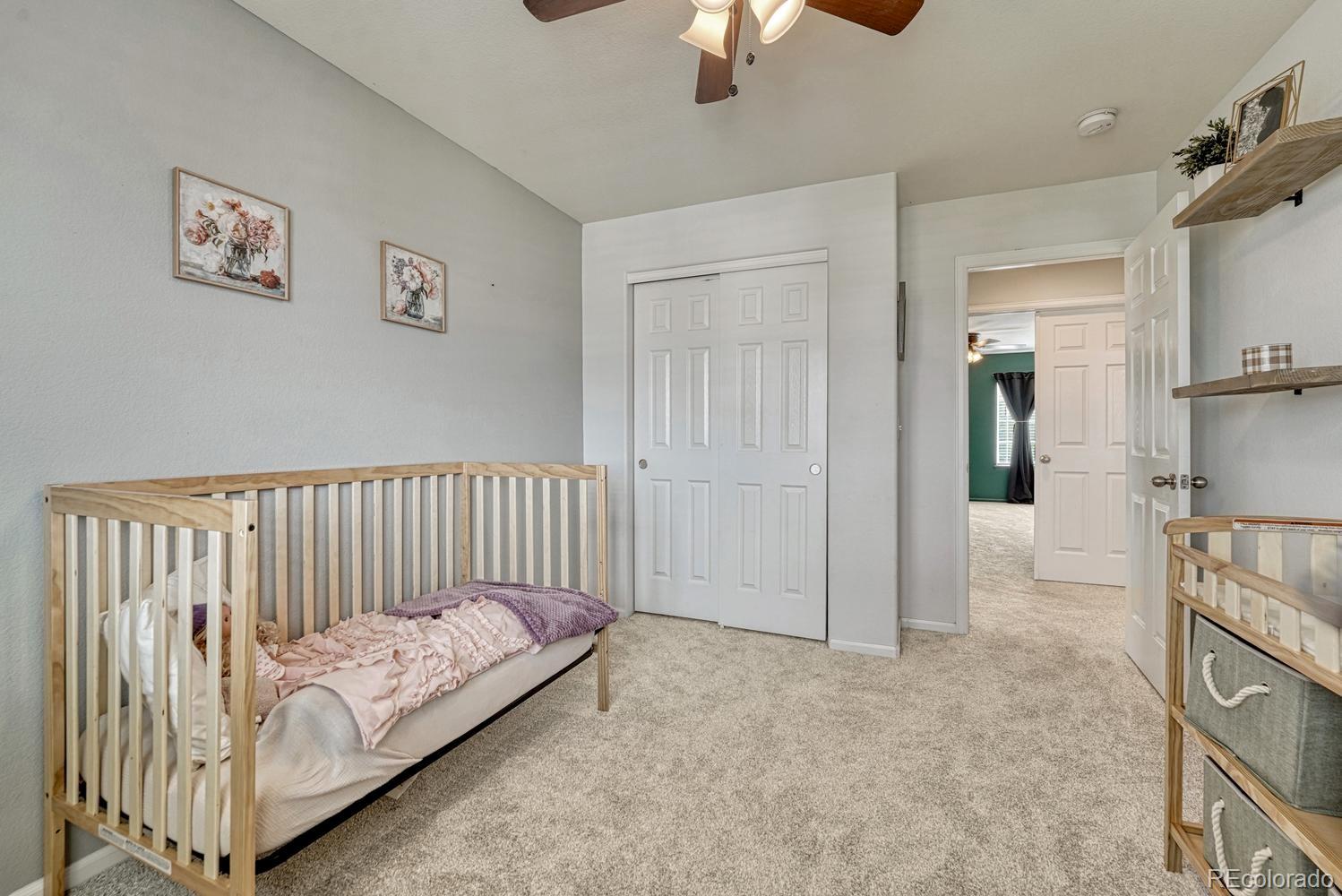 MLS Image #29 for 3130  open sky way,castle rock, Colorado