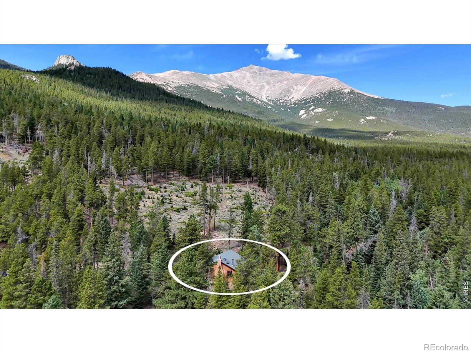 MLS Image #1 for 628  county road 113s ,allenspark, Colorado