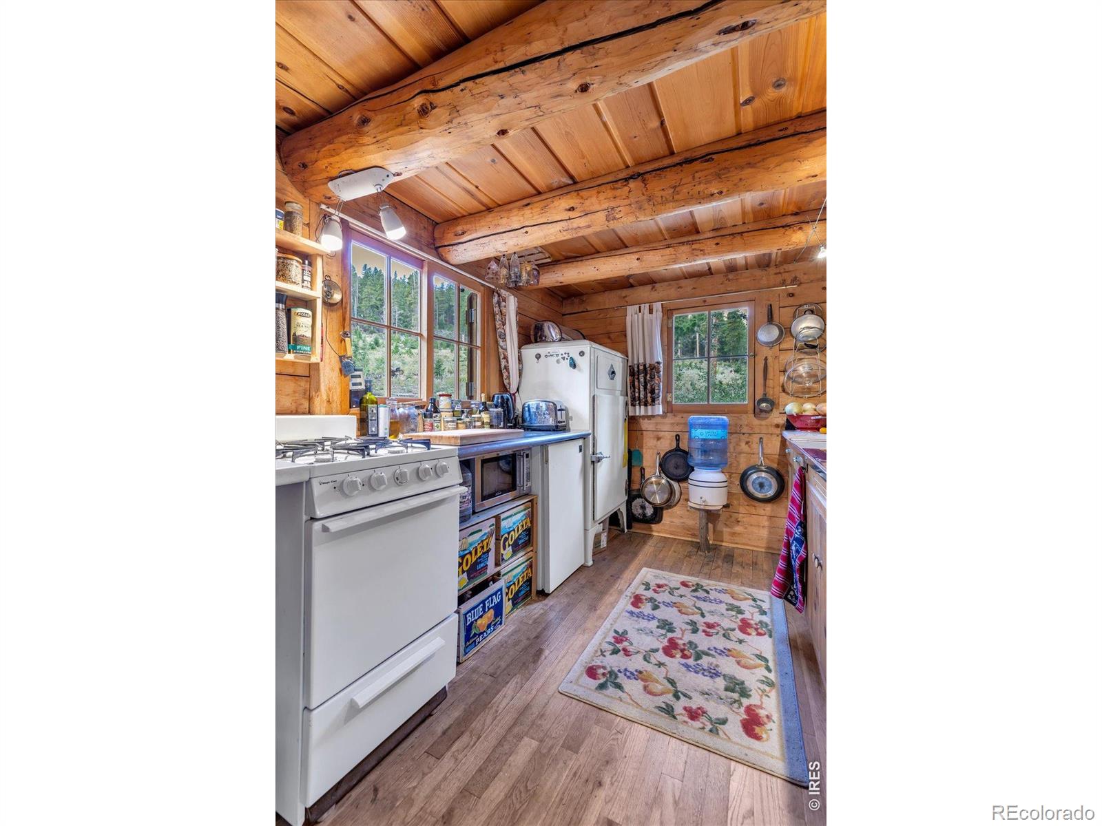 MLS Image #10 for 628  county road 113s ,allenspark, Colorado