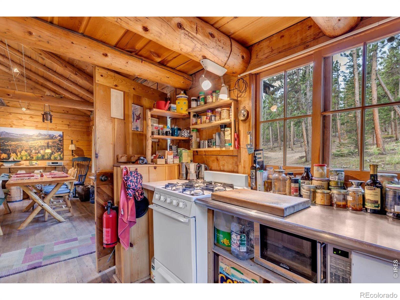 MLS Image #11 for 628  county road 113s ,allenspark, Colorado