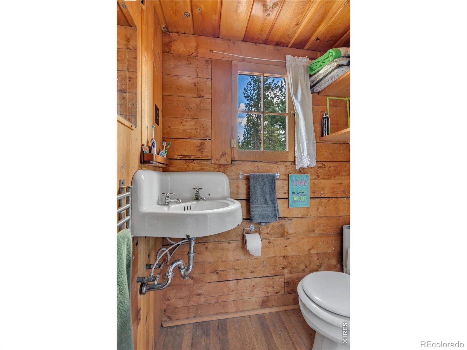 MLS Image #13 for 628  county road 113s ,allenspark, Colorado
