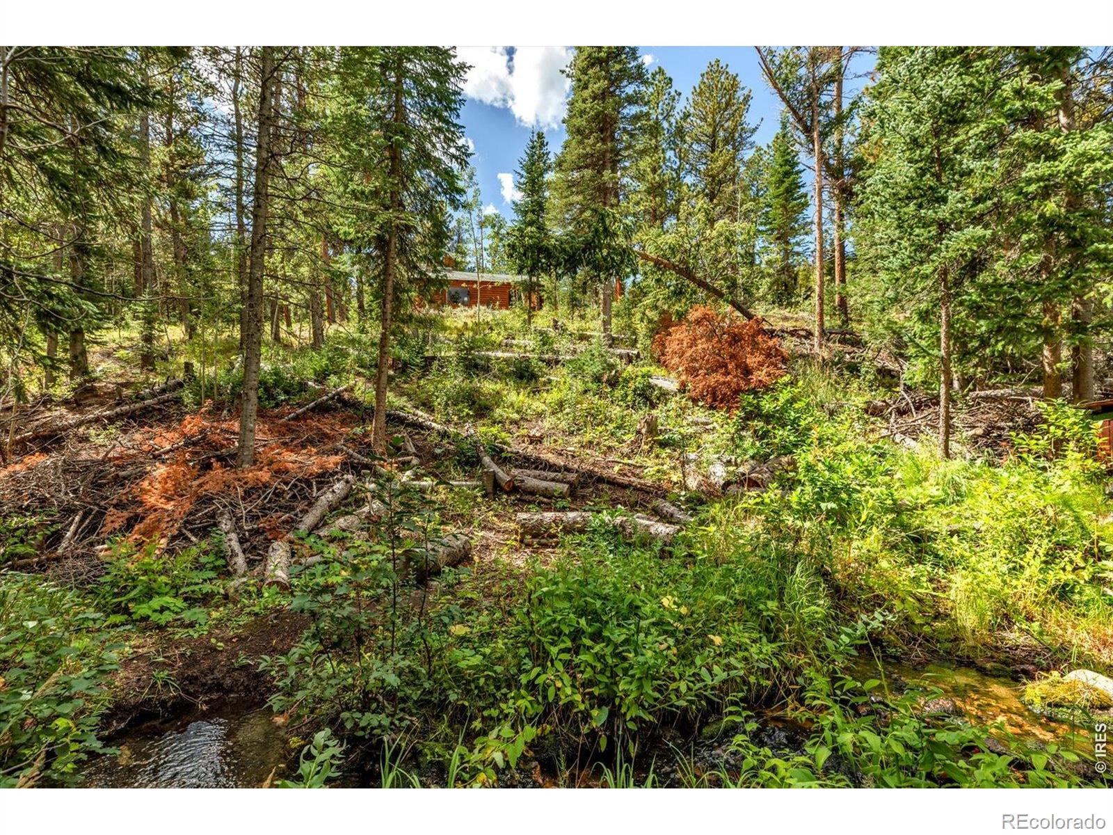 MLS Image #15 for 628  county road 113s ,allenspark, Colorado