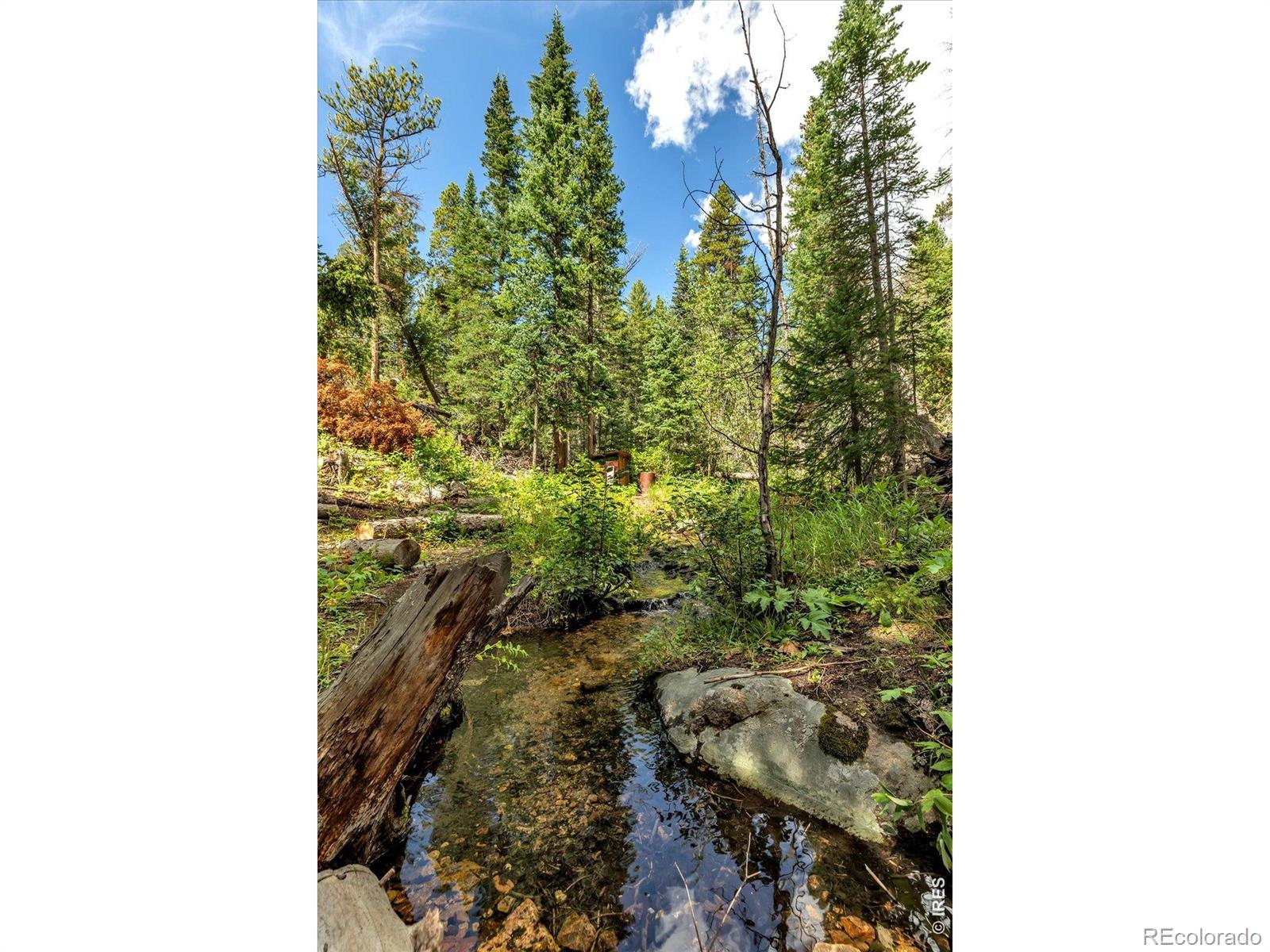 MLS Image #16 for 628  county road 113s ,allenspark, Colorado