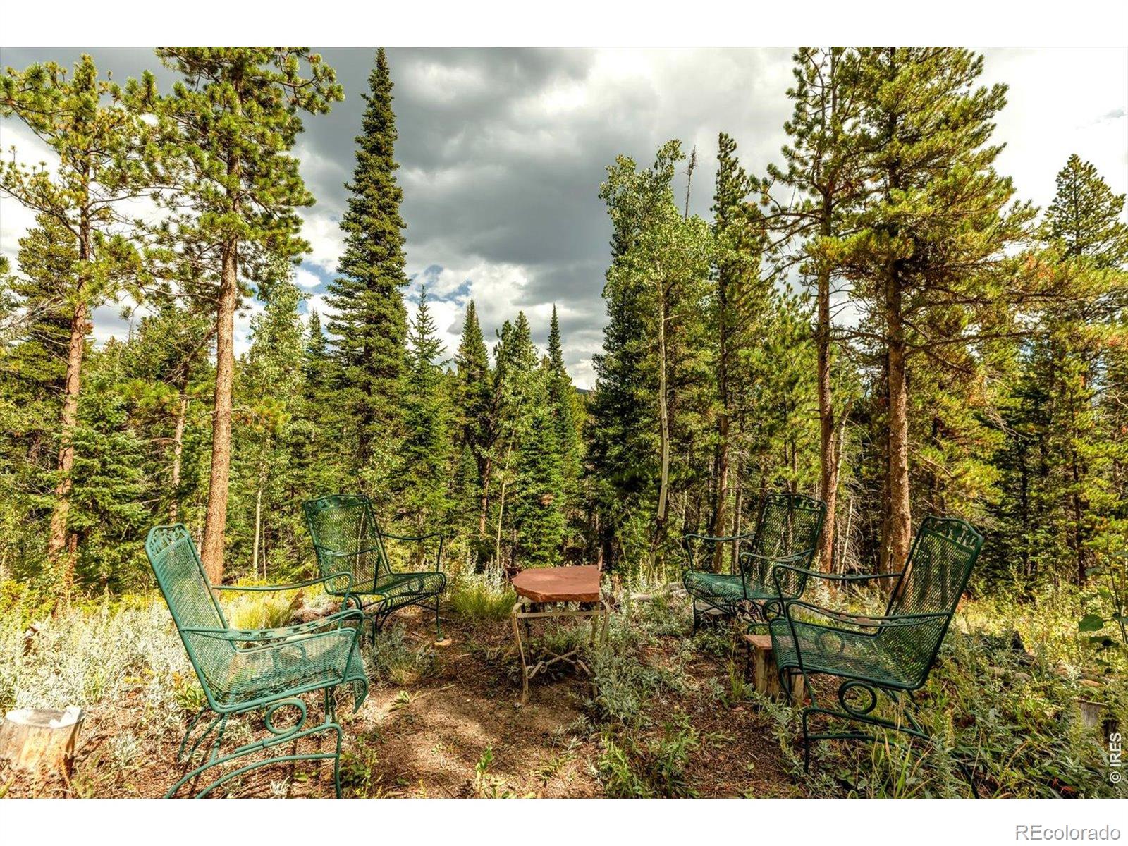MLS Image #17 for 628  county road 113s ,allenspark, Colorado