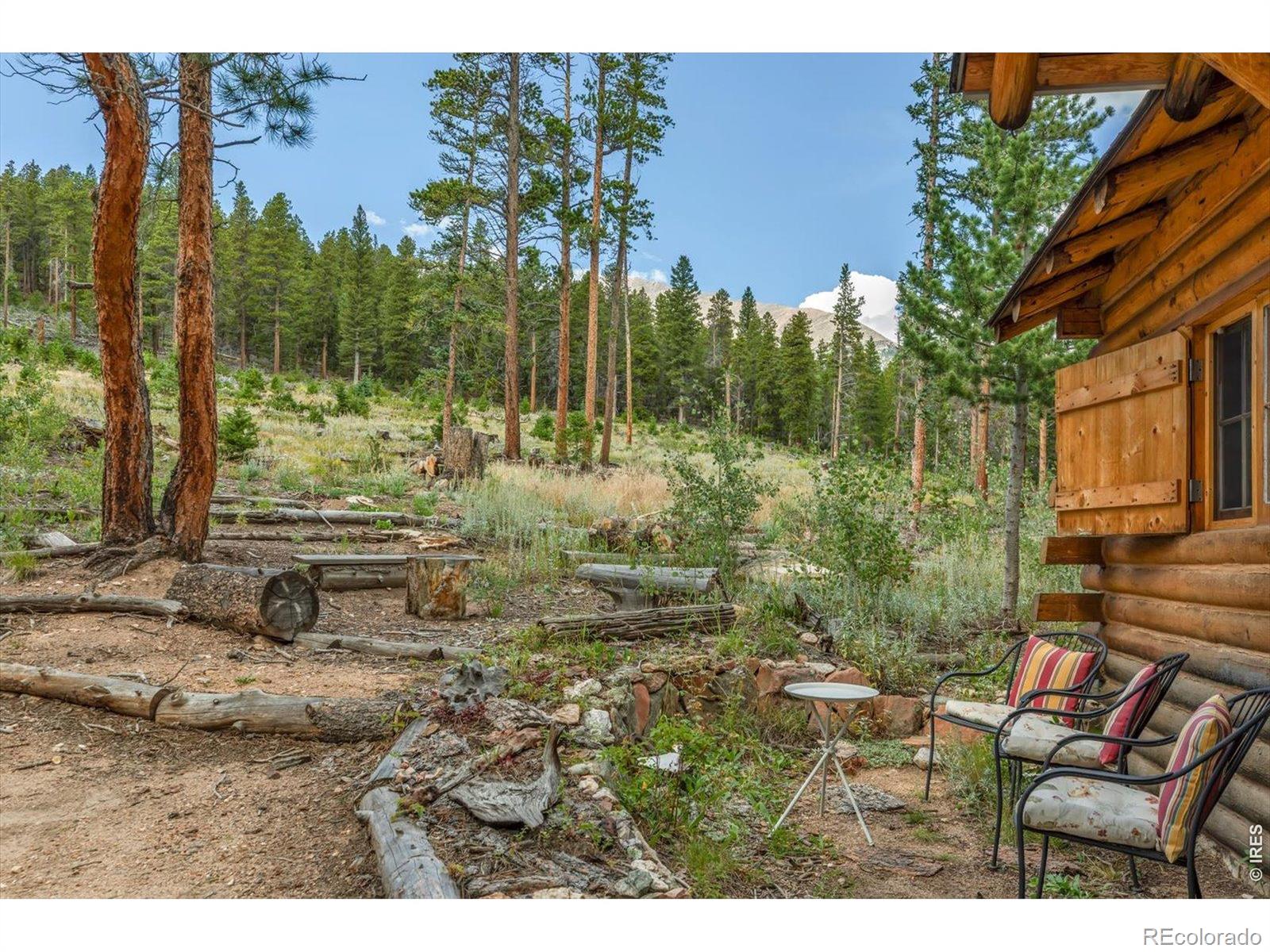 MLS Image #18 for 628  county road 113s ,allenspark, Colorado