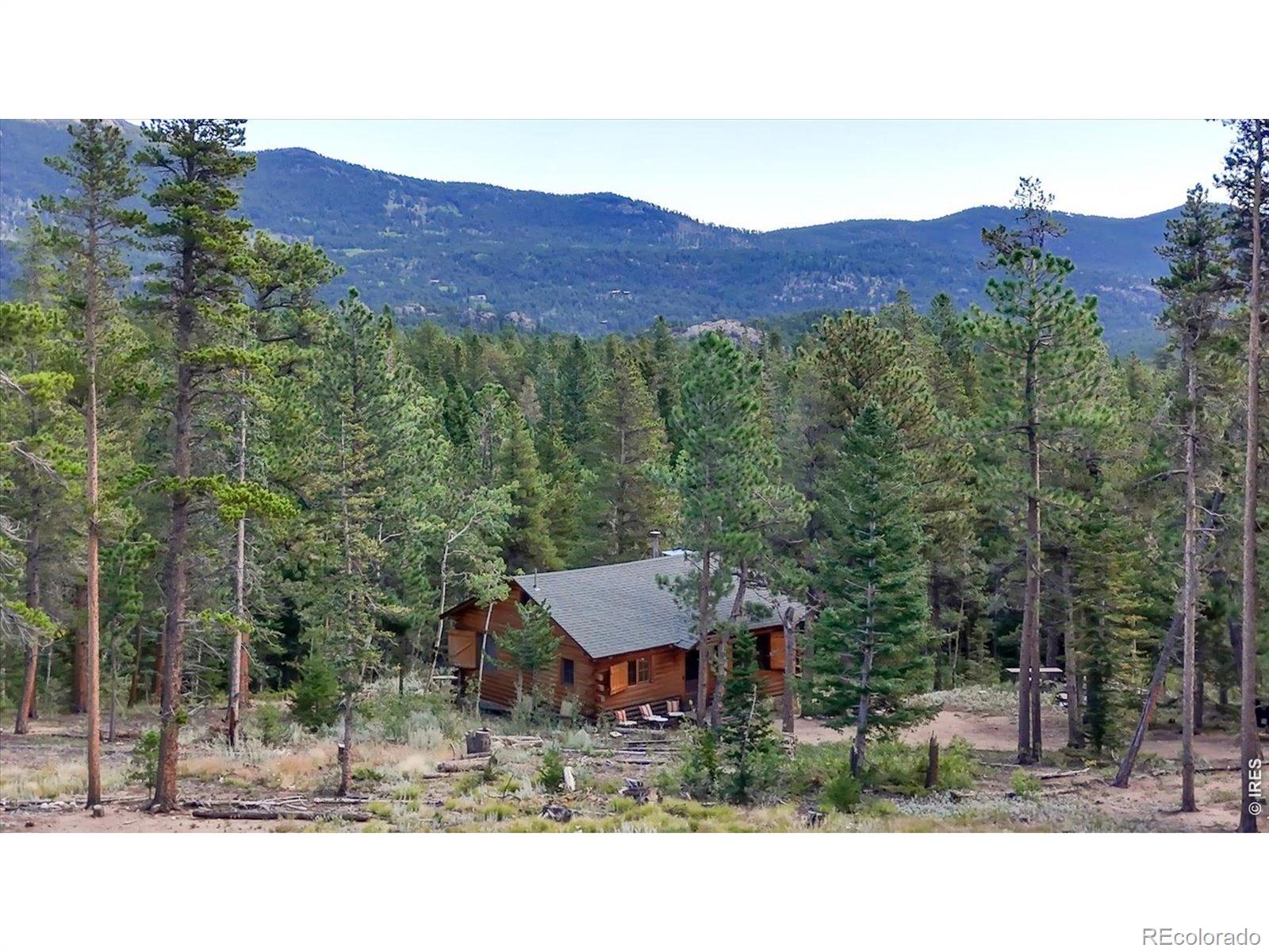 MLS Image #20 for 628  county road 113s ,allenspark, Colorado