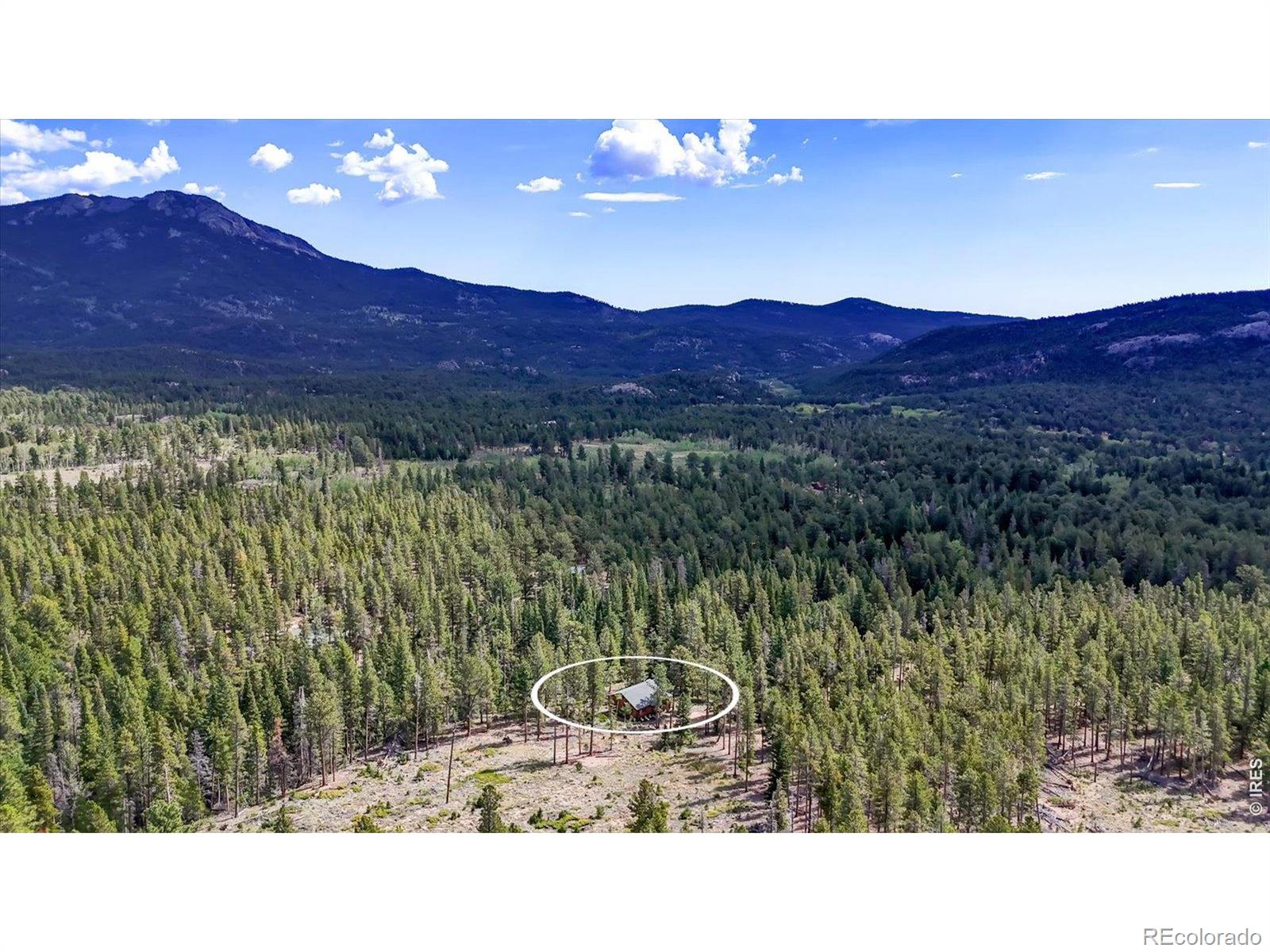 MLS Image #21 for 628  county road 113s ,allenspark, Colorado