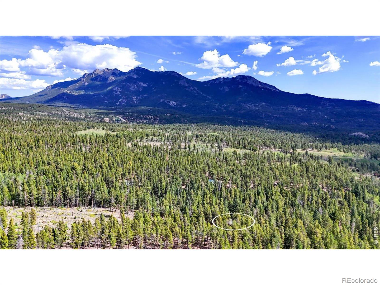 MLS Image #22 for 628  county road 113s ,allenspark, Colorado