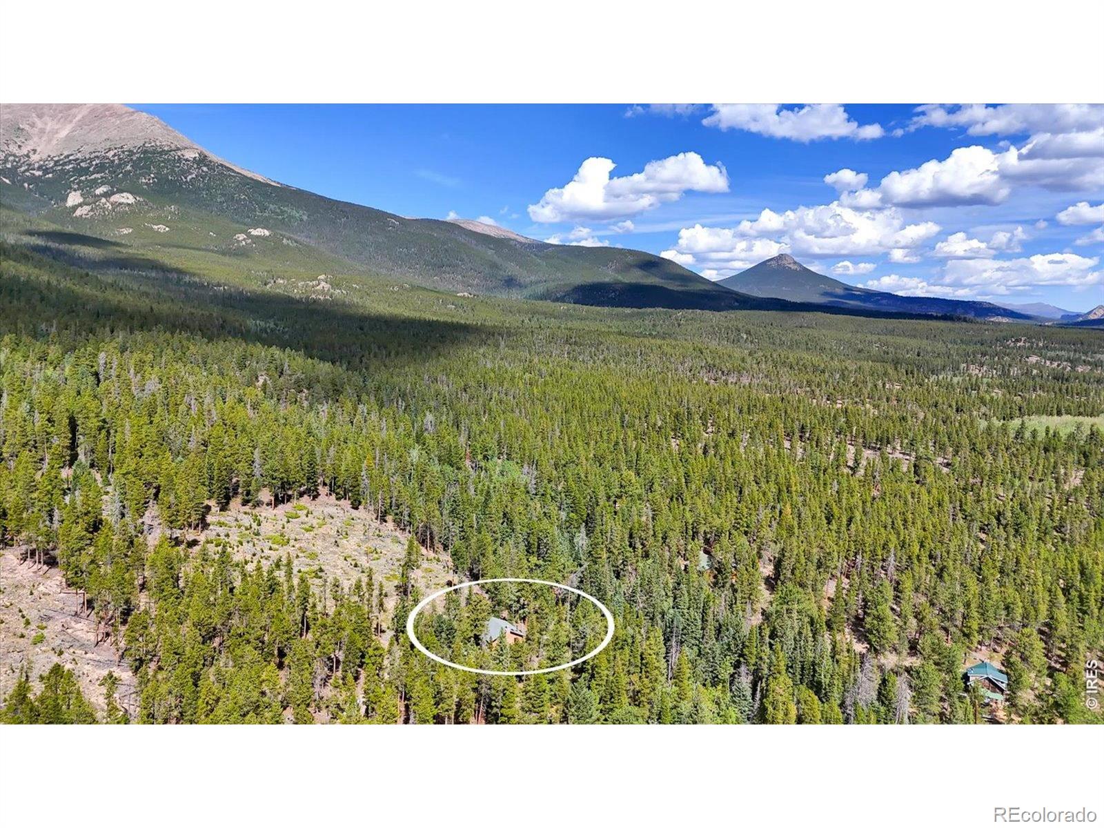 MLS Image #23 for 628  county road 113s ,allenspark, Colorado