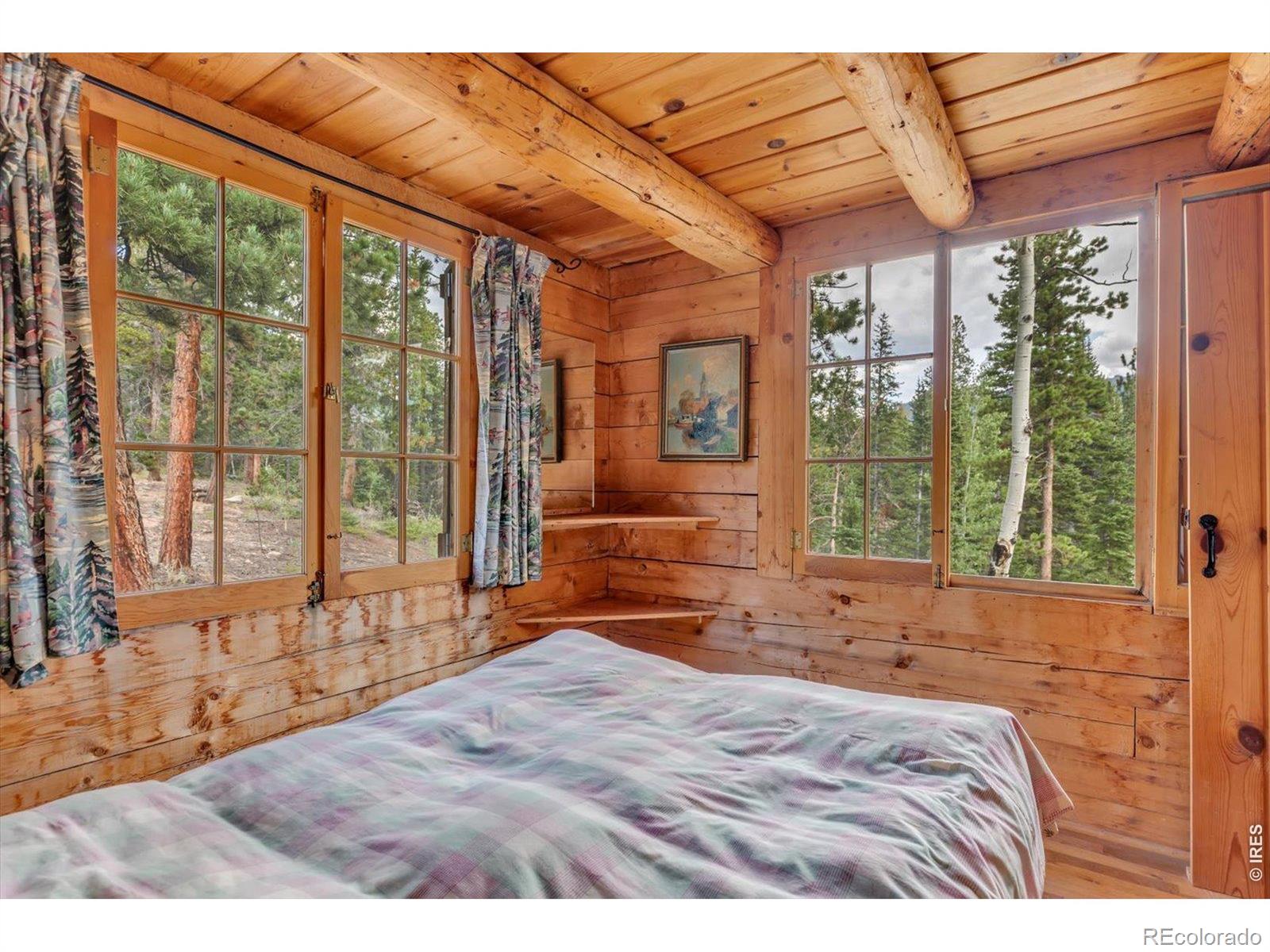 MLS Image #8 for 628  county road 113s ,allenspark, Colorado