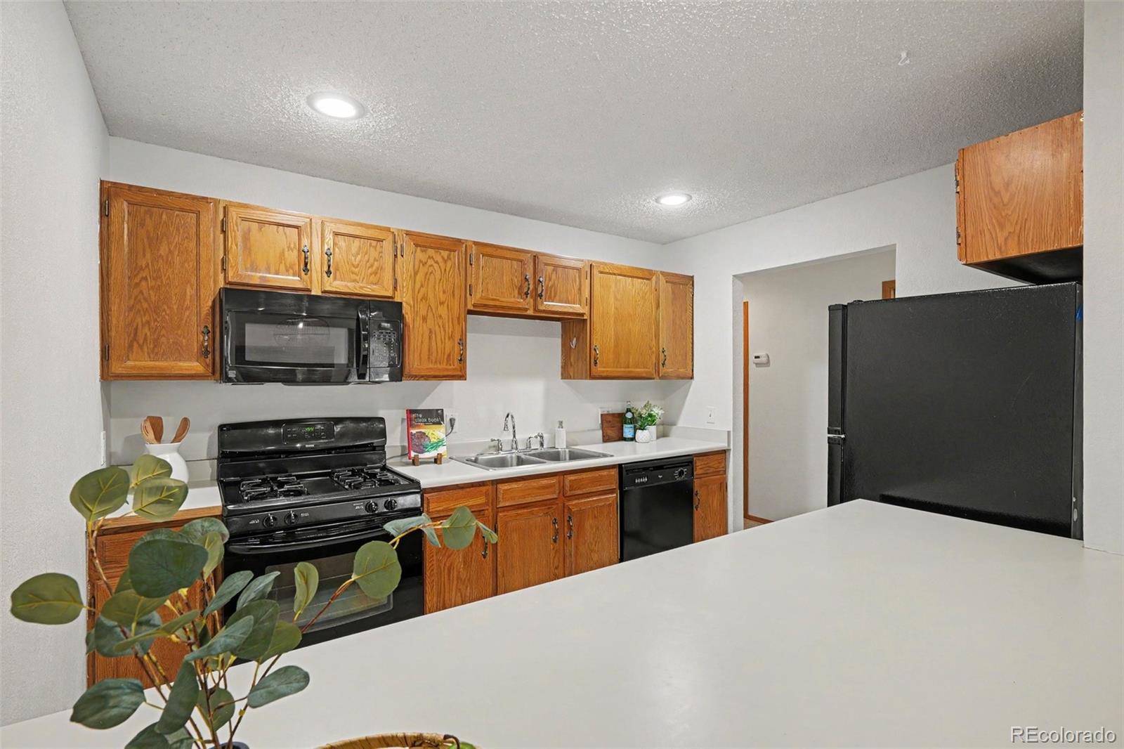 MLS Image #12 for 1050  magic lamp way,monument, Colorado