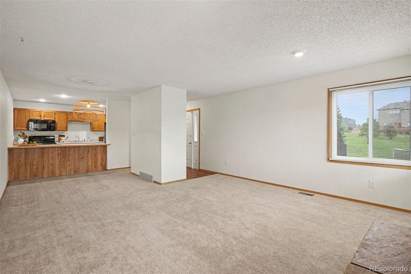 MLS Image #8 for 1050  magic lamp way,monument, Colorado