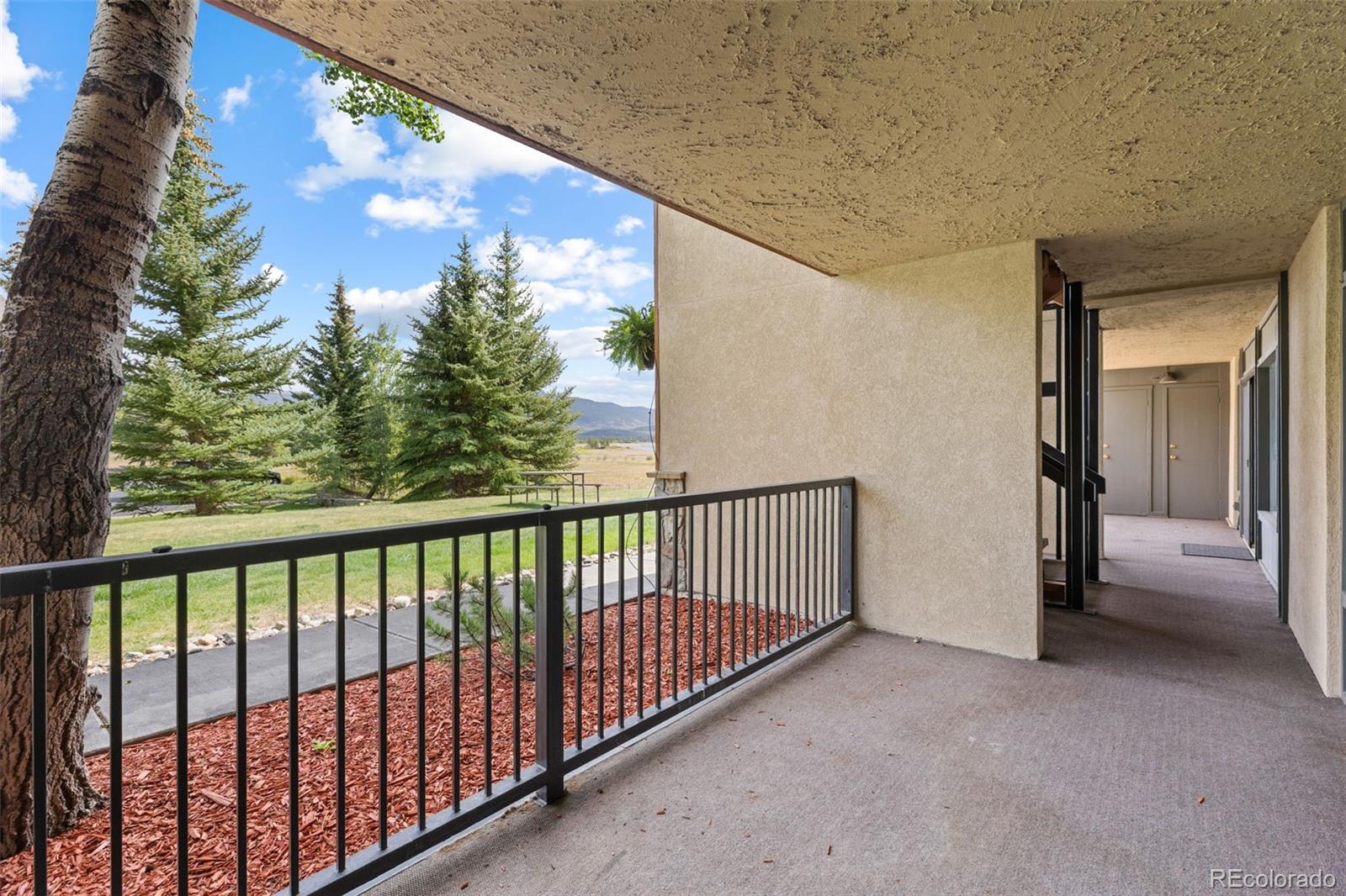 MLS Image #31 for 1127  9000 divide road,frisco, Colorado