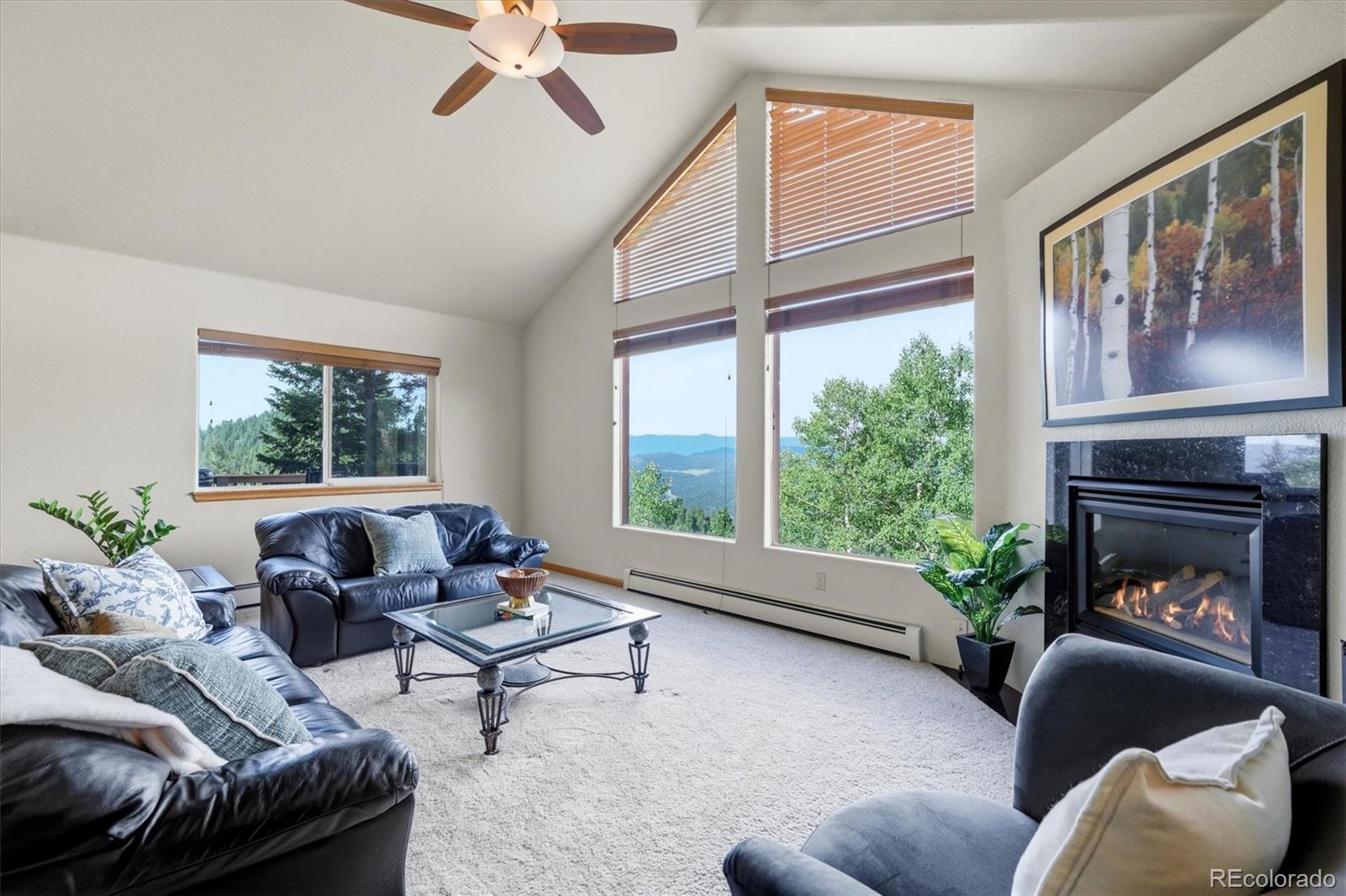 MLS Image #1 for 11756  leavenworth drive,conifer, Colorado