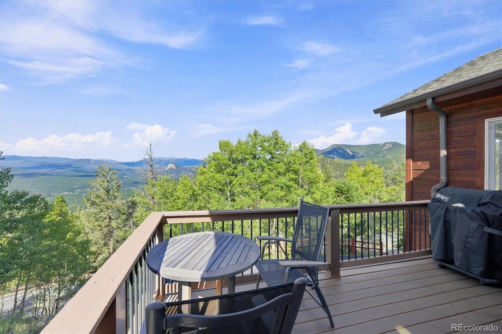 MLS Image #15 for 11756  leavenworth drive,conifer, Colorado
