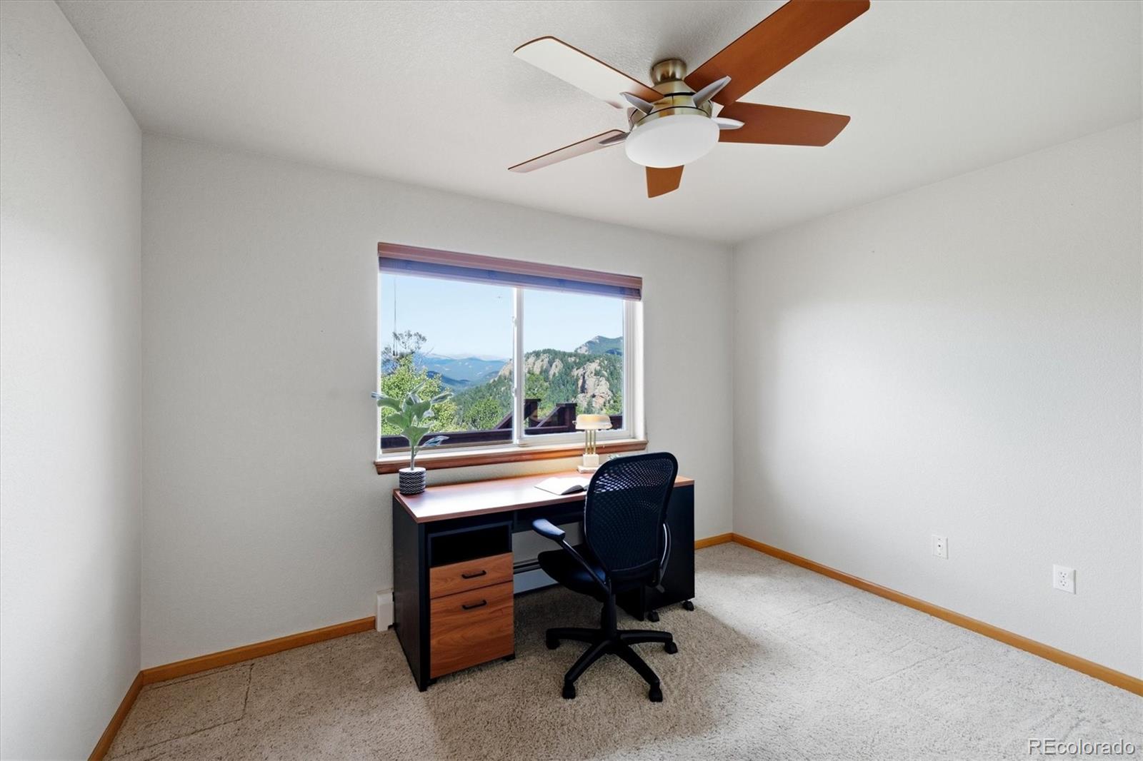 MLS Image #17 for 11756  leavenworth drive,conifer, Colorado
