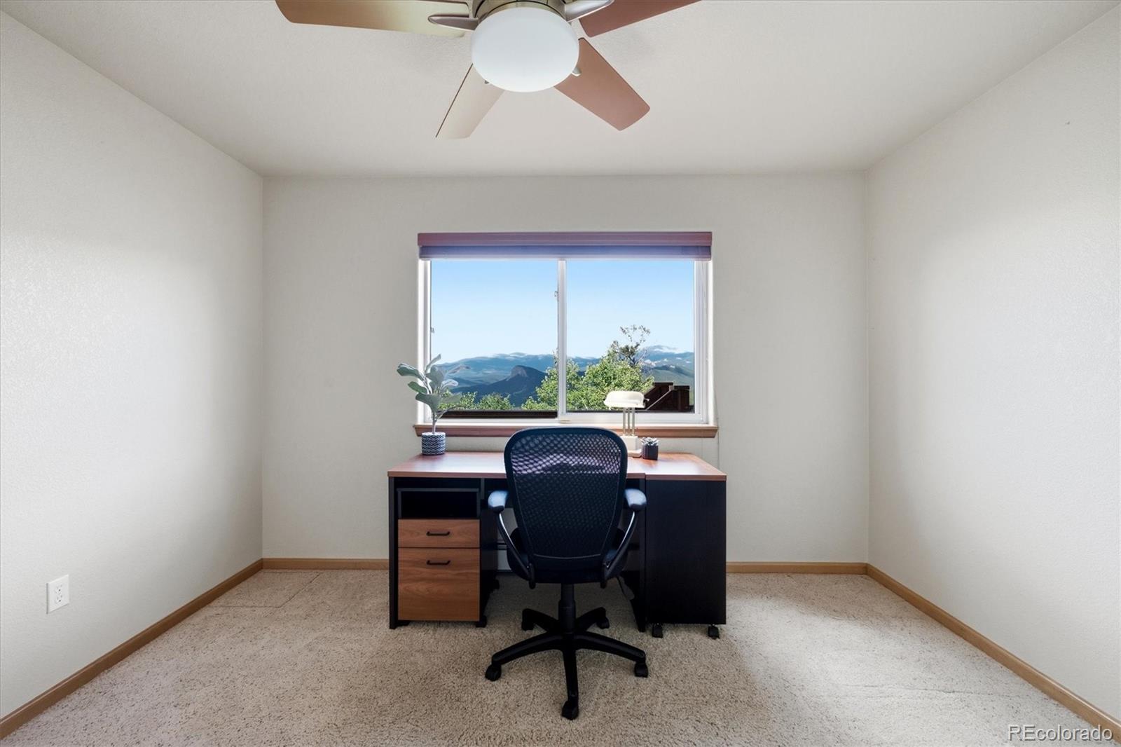MLS Image #18 for 11756  leavenworth drive,conifer, Colorado