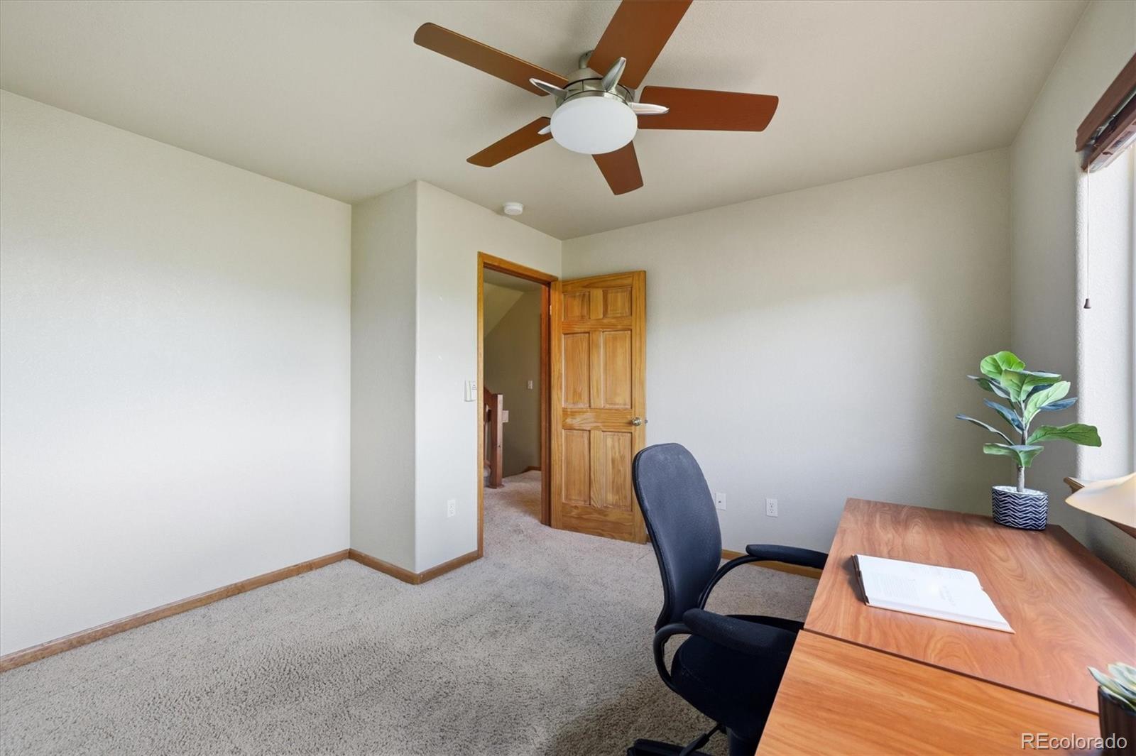 MLS Image #20 for 11756  leavenworth drive,conifer, Colorado