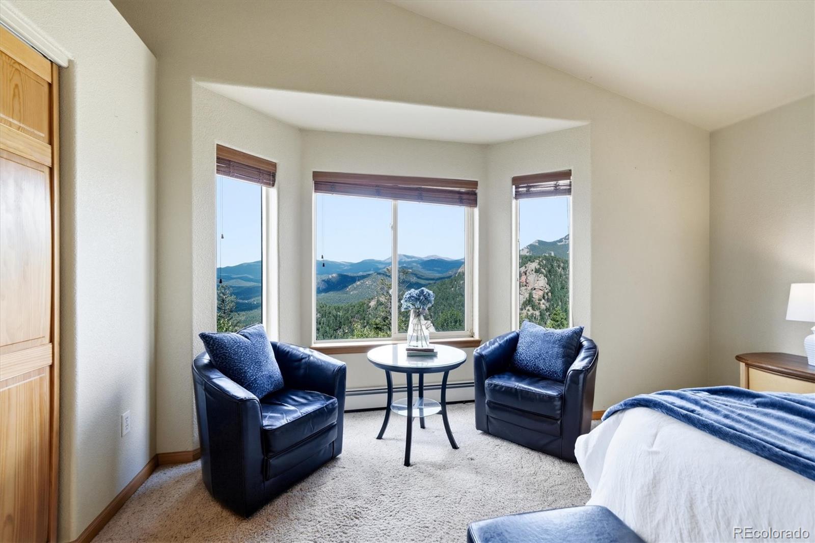 MLS Image #24 for 11756  leavenworth drive,conifer, Colorado