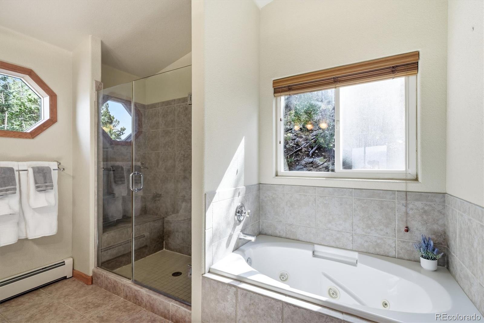 MLS Image #26 for 11756  leavenworth drive,conifer, Colorado