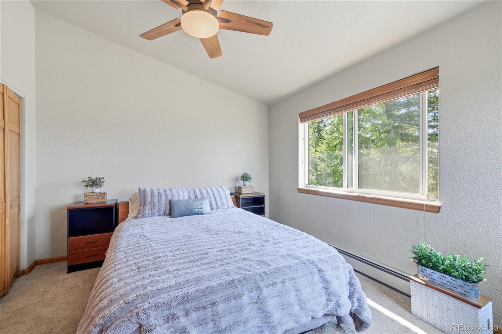 MLS Image #31 for 11756  leavenworth drive,conifer, Colorado