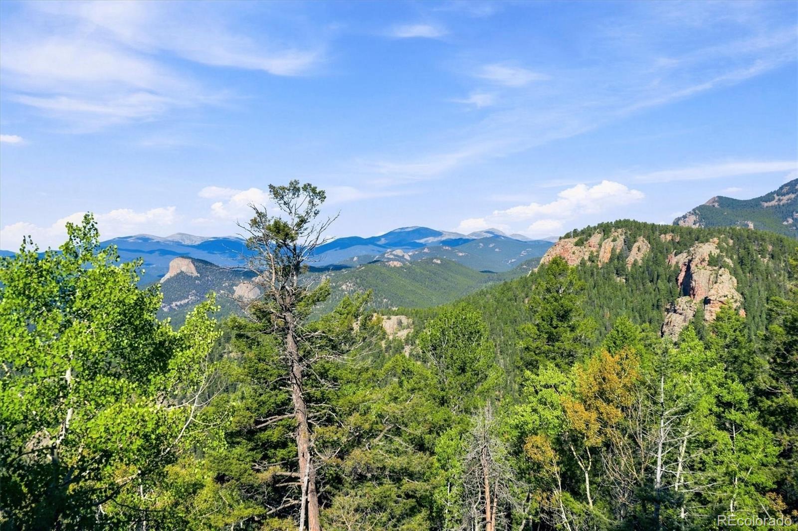 MLS Image #45 for 11756  leavenworth drive,conifer, Colorado