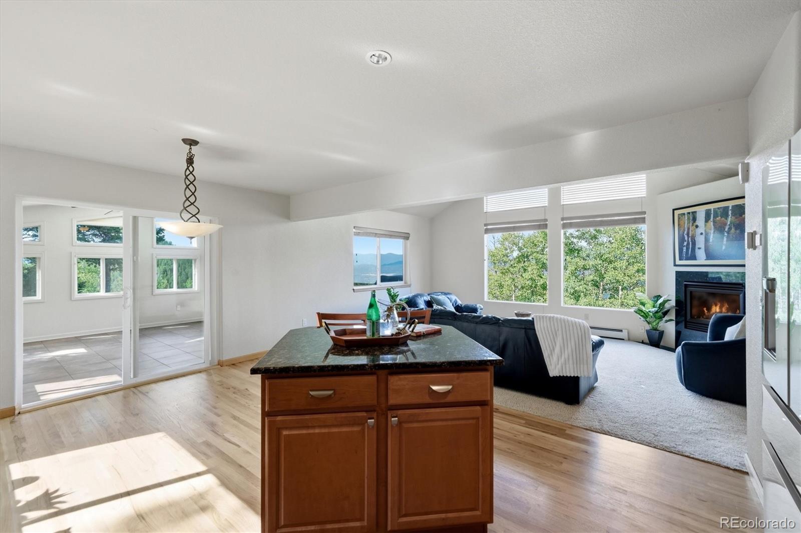 MLS Image #5 for 11756  leavenworth drive,conifer, Colorado