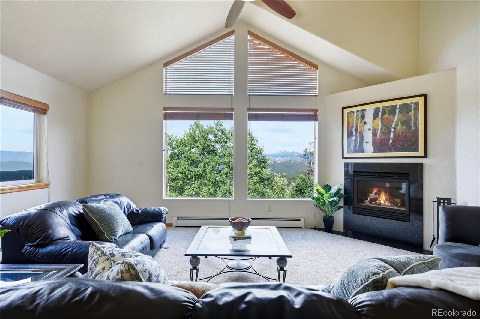 MLS Image #6 for 11756  leavenworth drive,conifer, Colorado