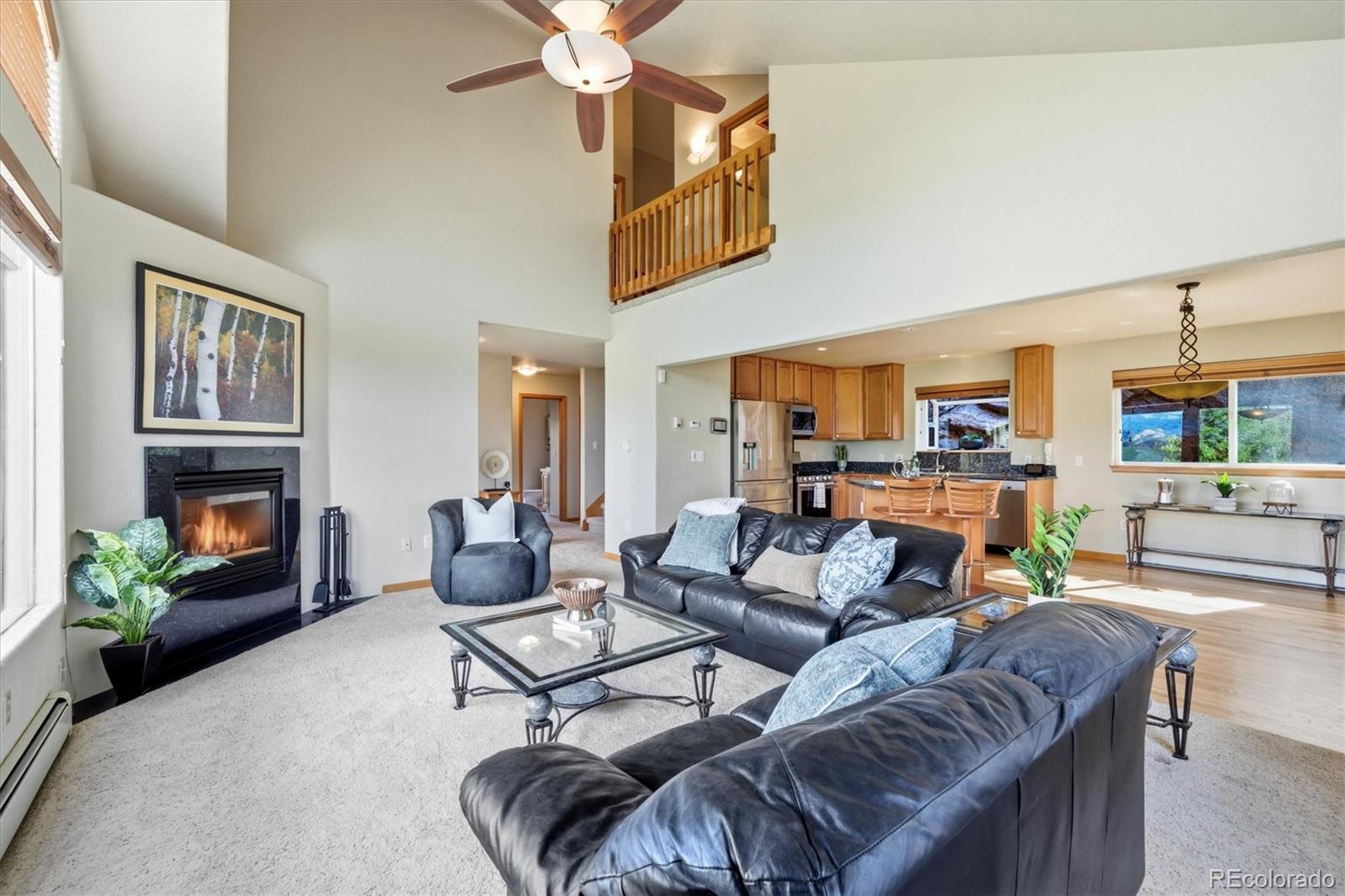 MLS Image #7 for 11756  leavenworth drive,conifer, Colorado