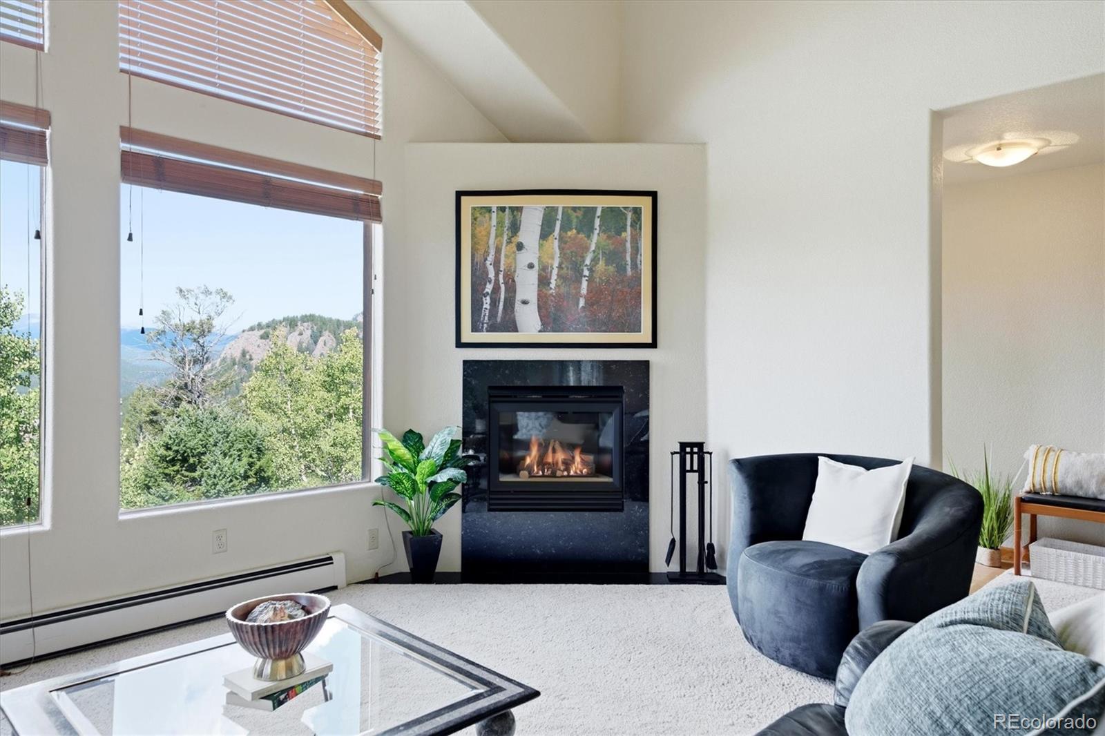 MLS Image #8 for 11756  leavenworth drive,conifer, Colorado