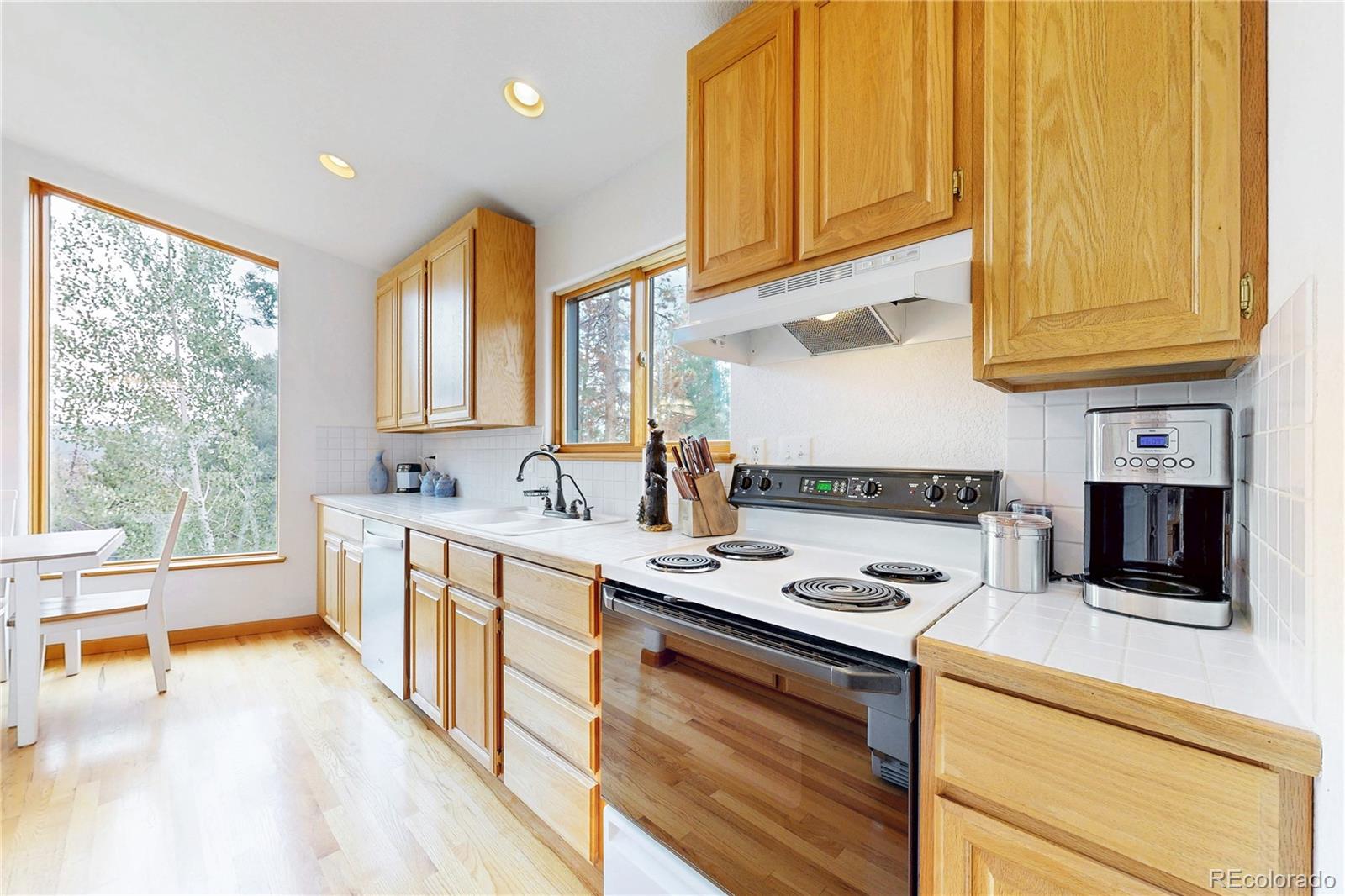 MLS Image #11 for 1360  delwood drive,bailey, Colorado