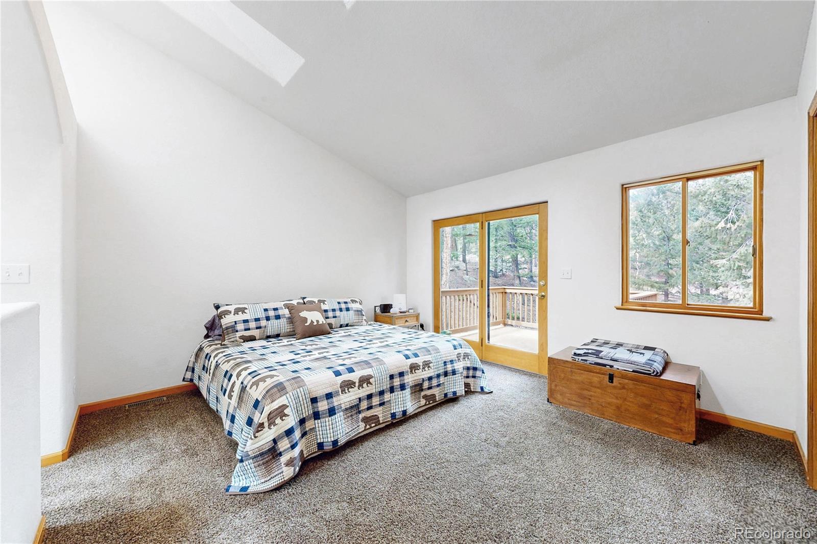 MLS Image #13 for 1360  delwood drive,bailey, Colorado