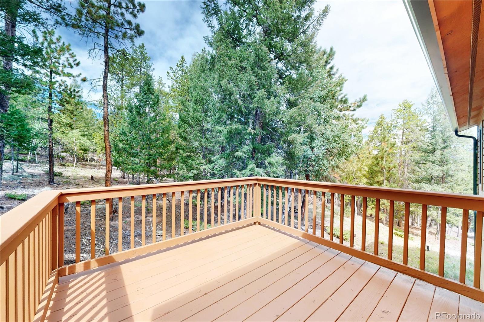 MLS Image #15 for 1360  delwood drive,bailey, Colorado