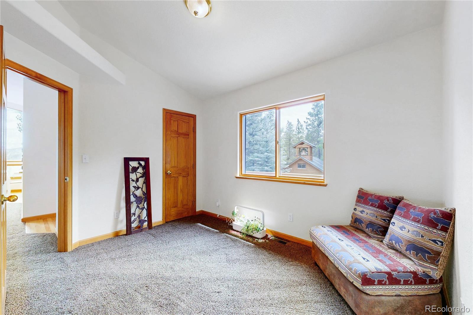 MLS Image #19 for 1360  delwood drive,bailey, Colorado