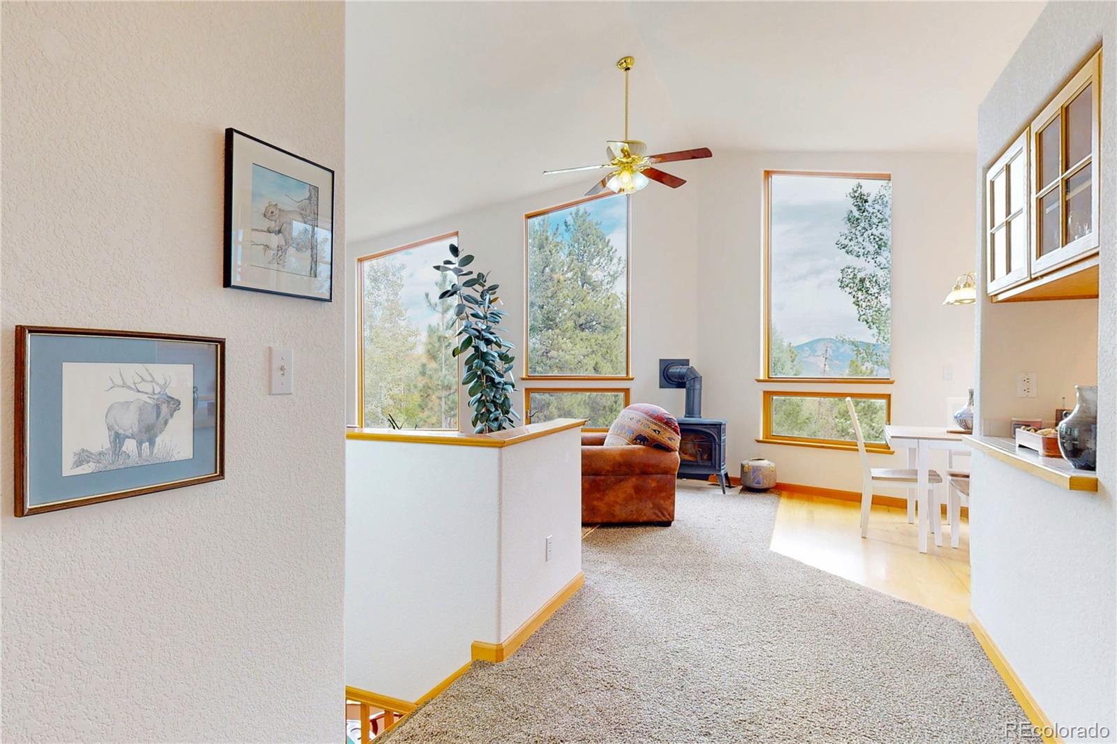 MLS Image #2 for 1360  delwood drive,bailey, Colorado