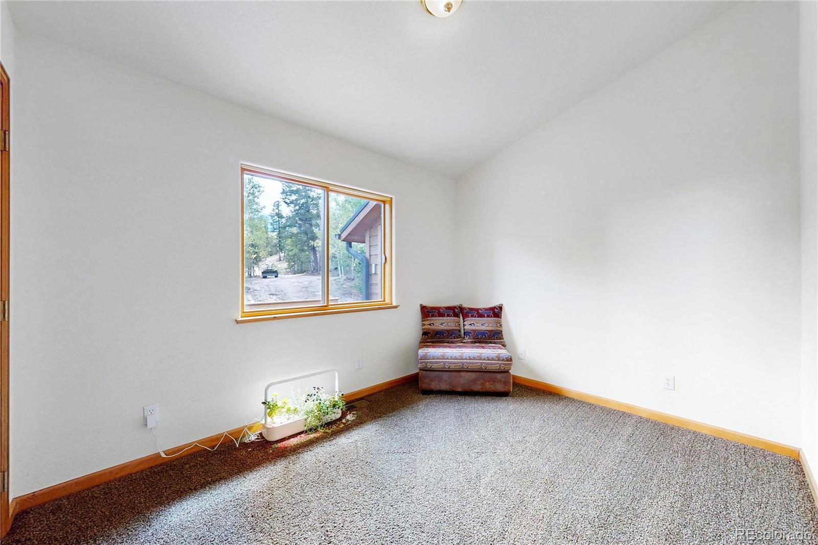 MLS Image #20 for 1360  delwood drive,bailey, Colorado