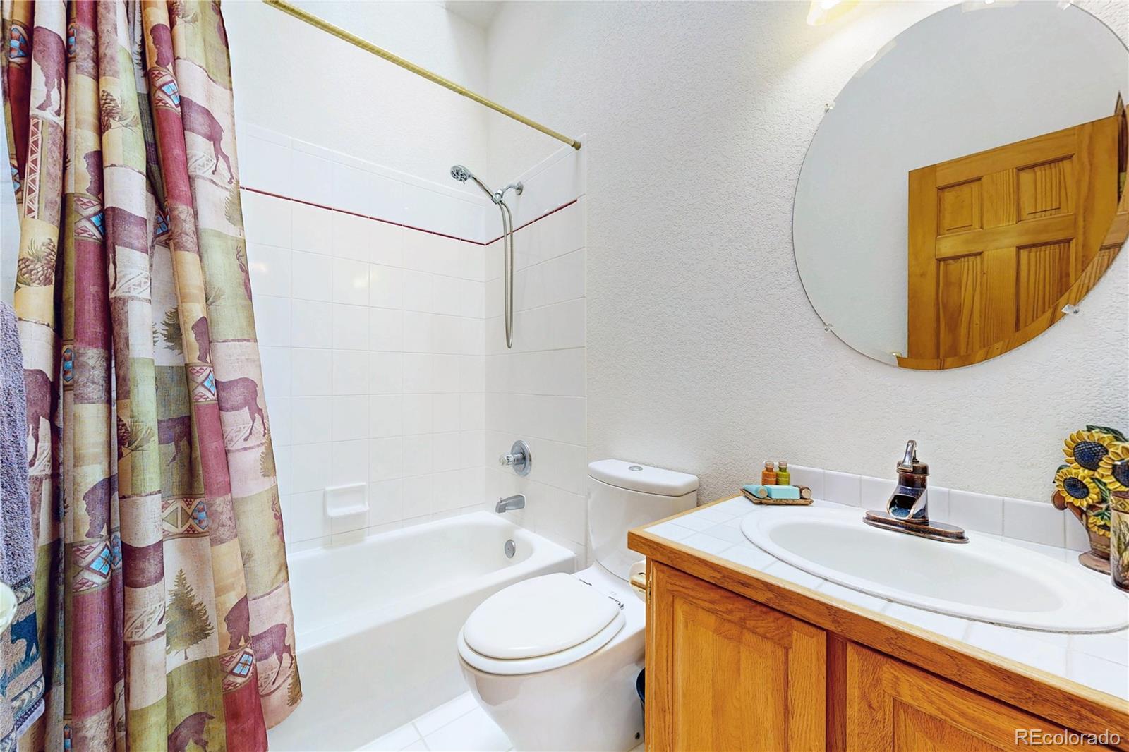 MLS Image #21 for 1360  delwood drive,bailey, Colorado