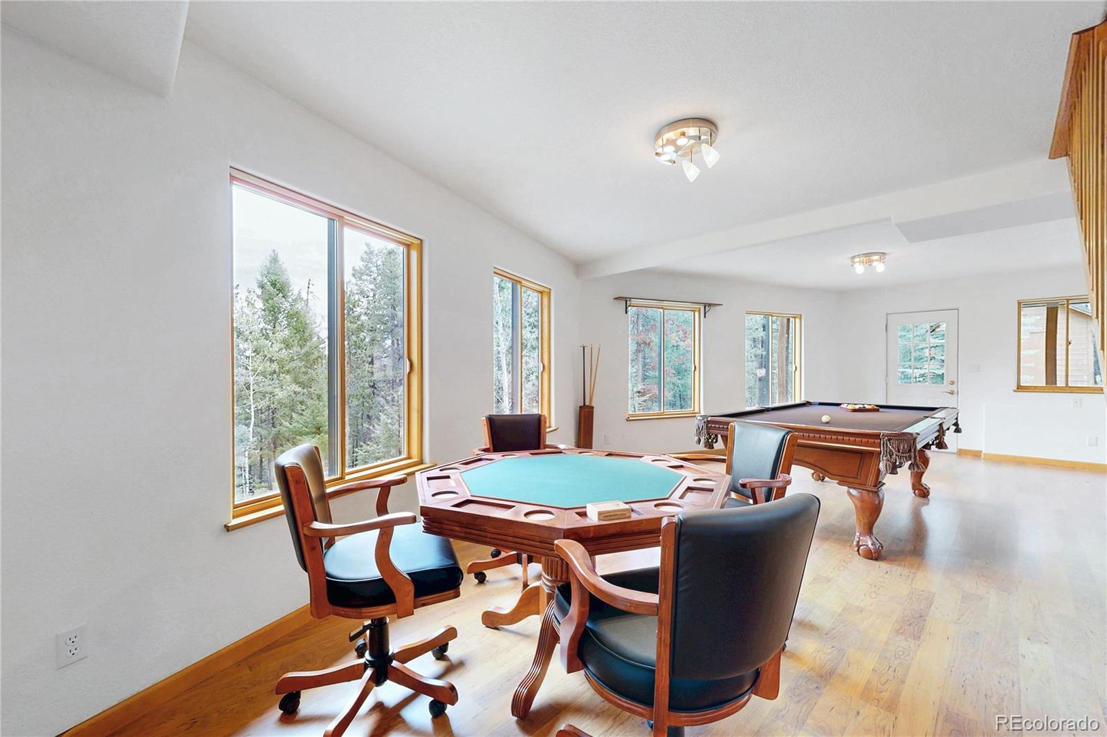 MLS Image #24 for 1360  delwood drive,bailey, Colorado