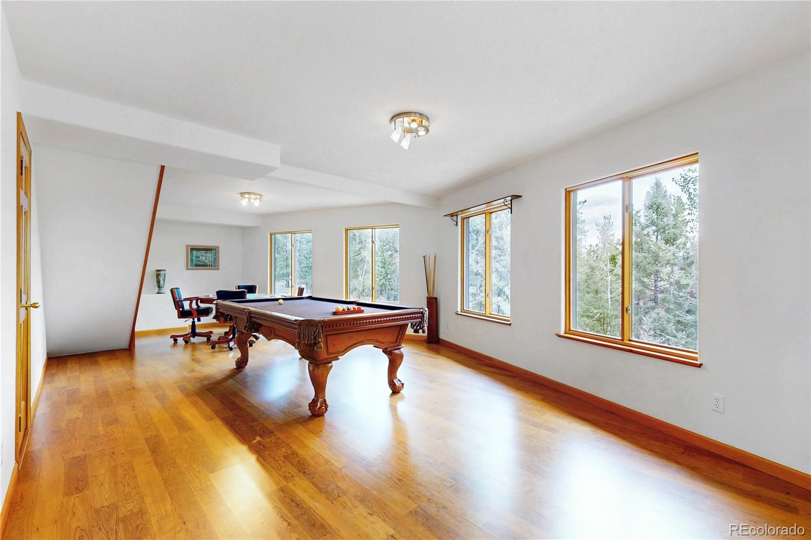 MLS Image #25 for 1360  delwood drive,bailey, Colorado