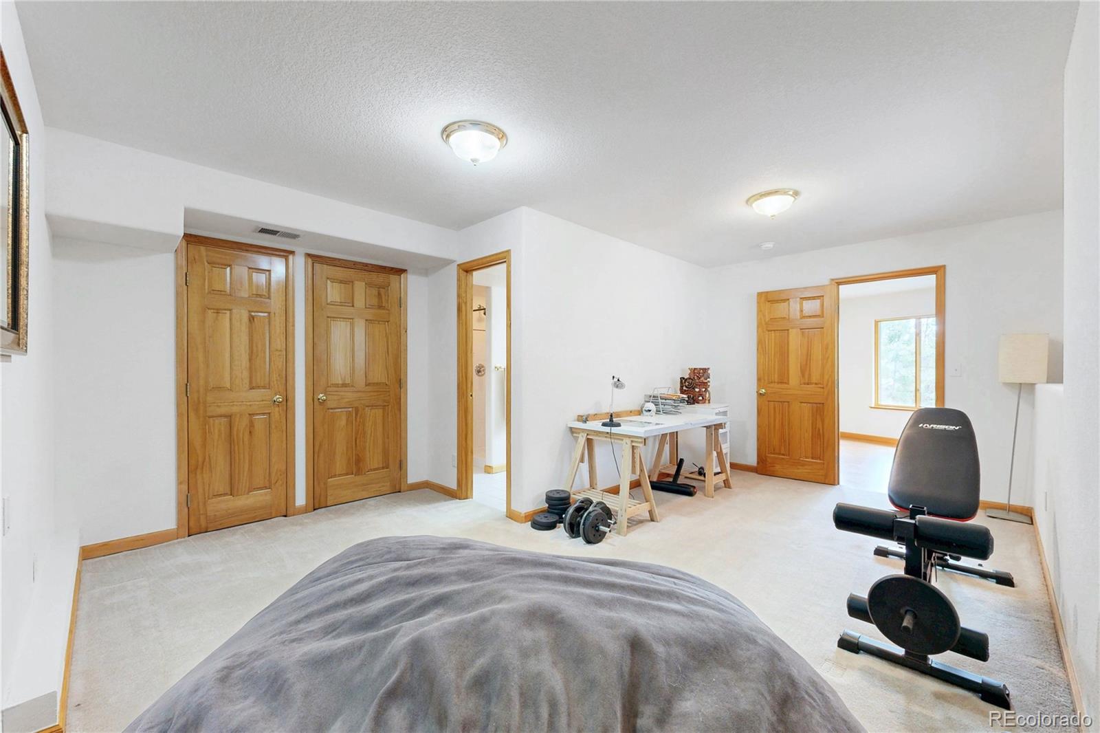 MLS Image #27 for 1360  delwood drive,bailey, Colorado