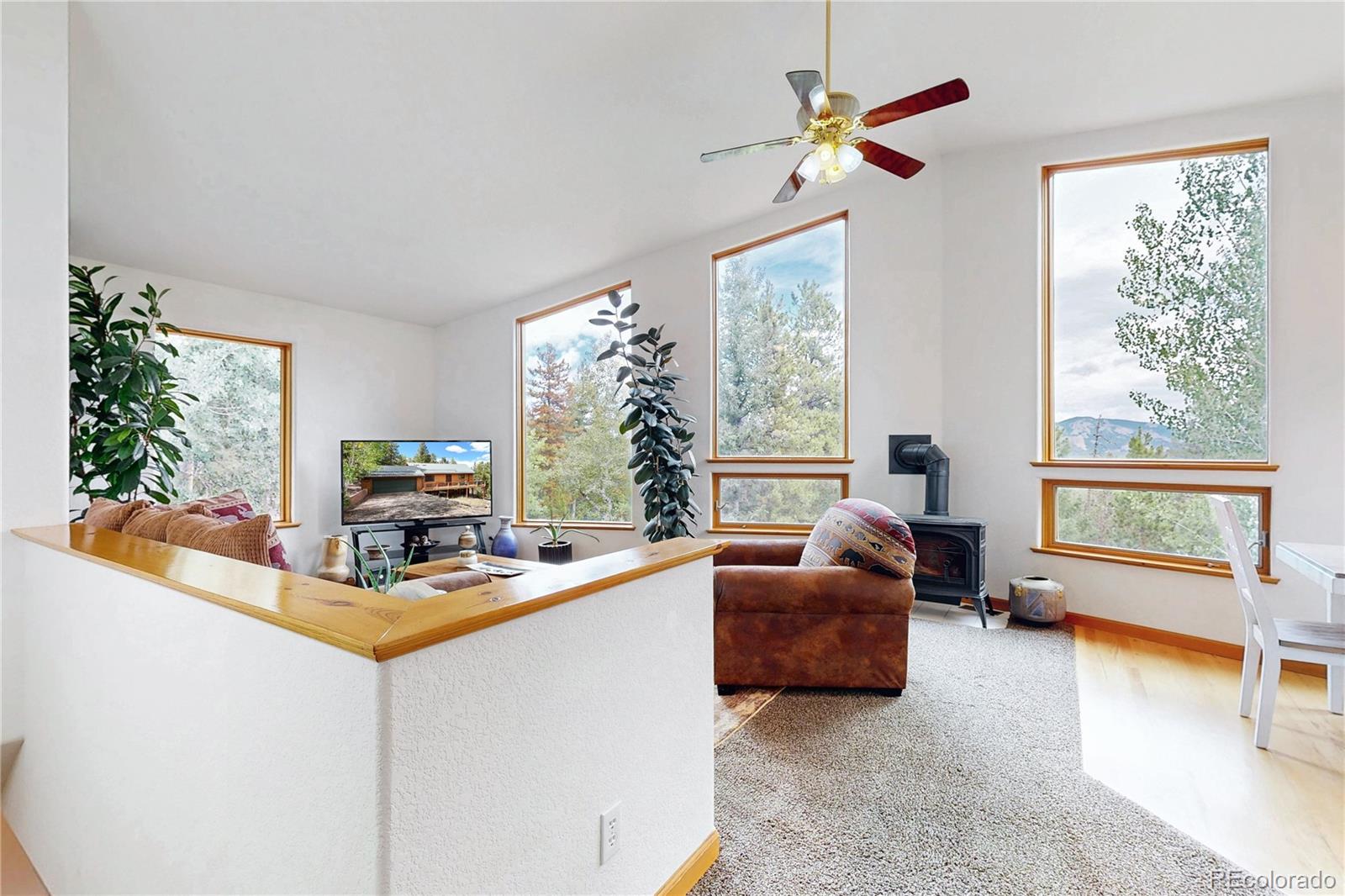 MLS Image #3 for 1360  delwood drive,bailey, Colorado