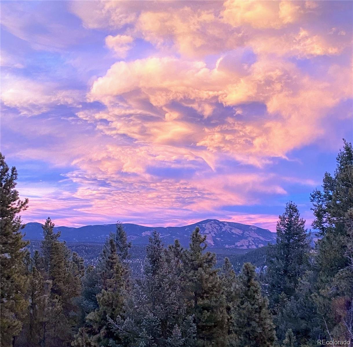 MLS Image #48 for 1360  delwood drive,bailey, Colorado