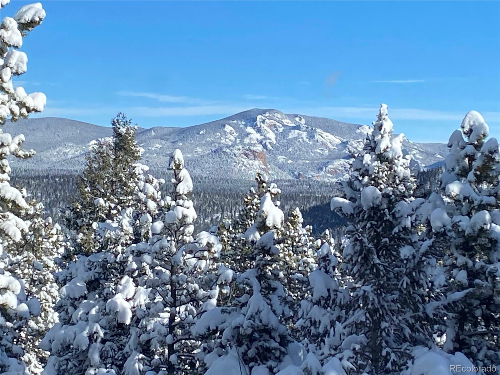 MLS Image #49 for 1360  delwood drive,bailey, Colorado