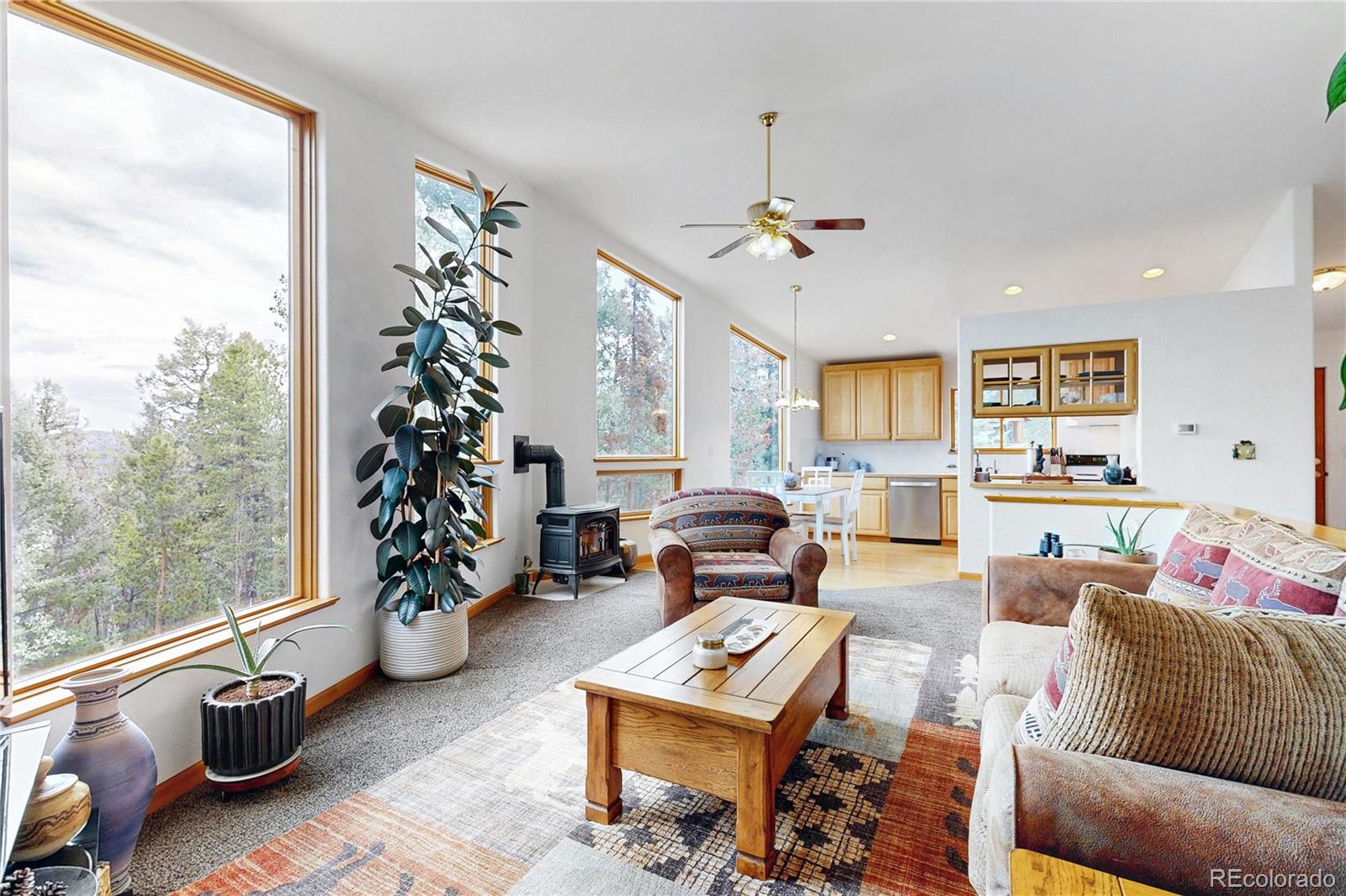MLS Image #5 for 1360  delwood drive,bailey, Colorado